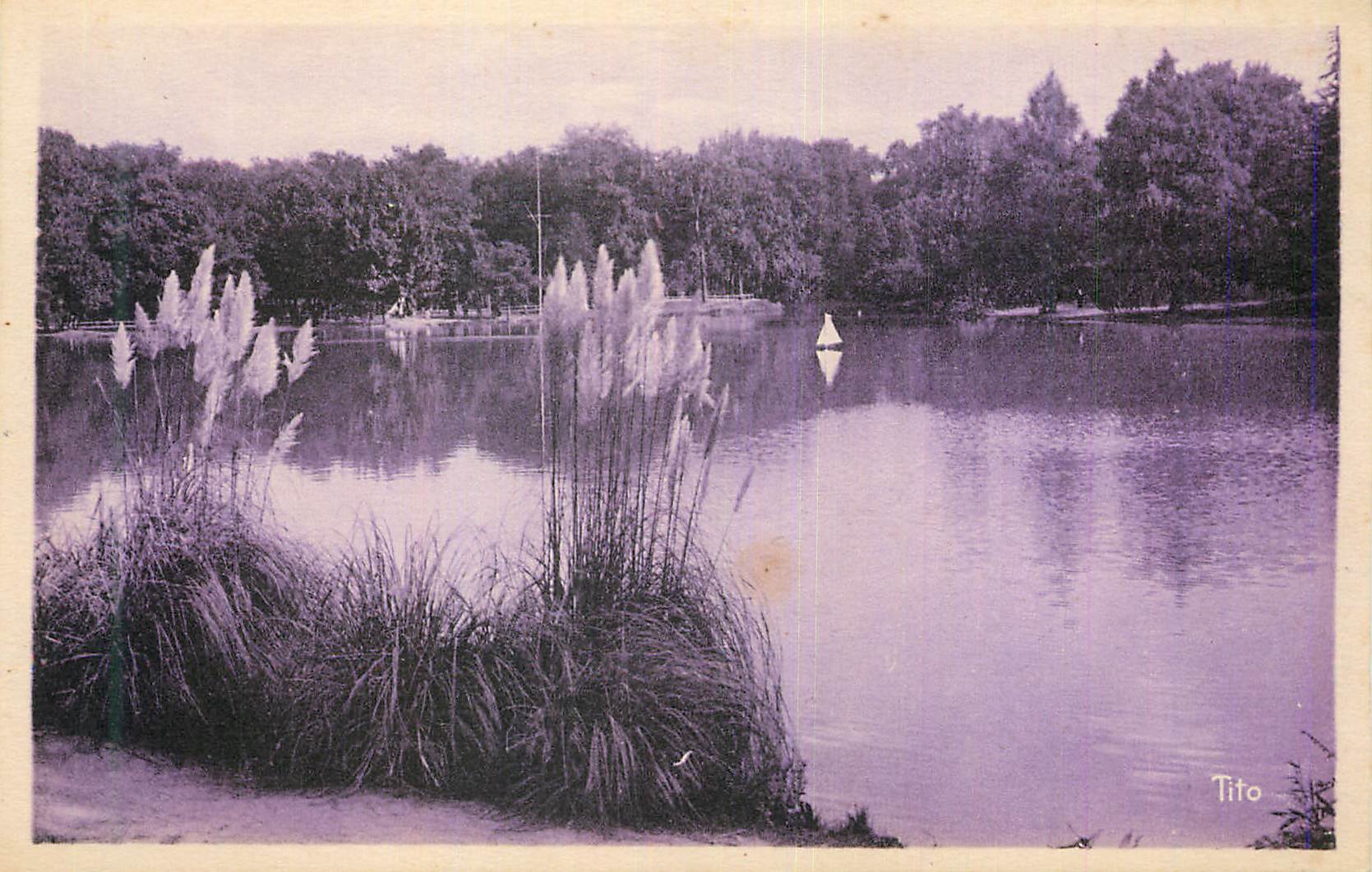 Lac dans un parc — vue avec roseaux et voile — Tito