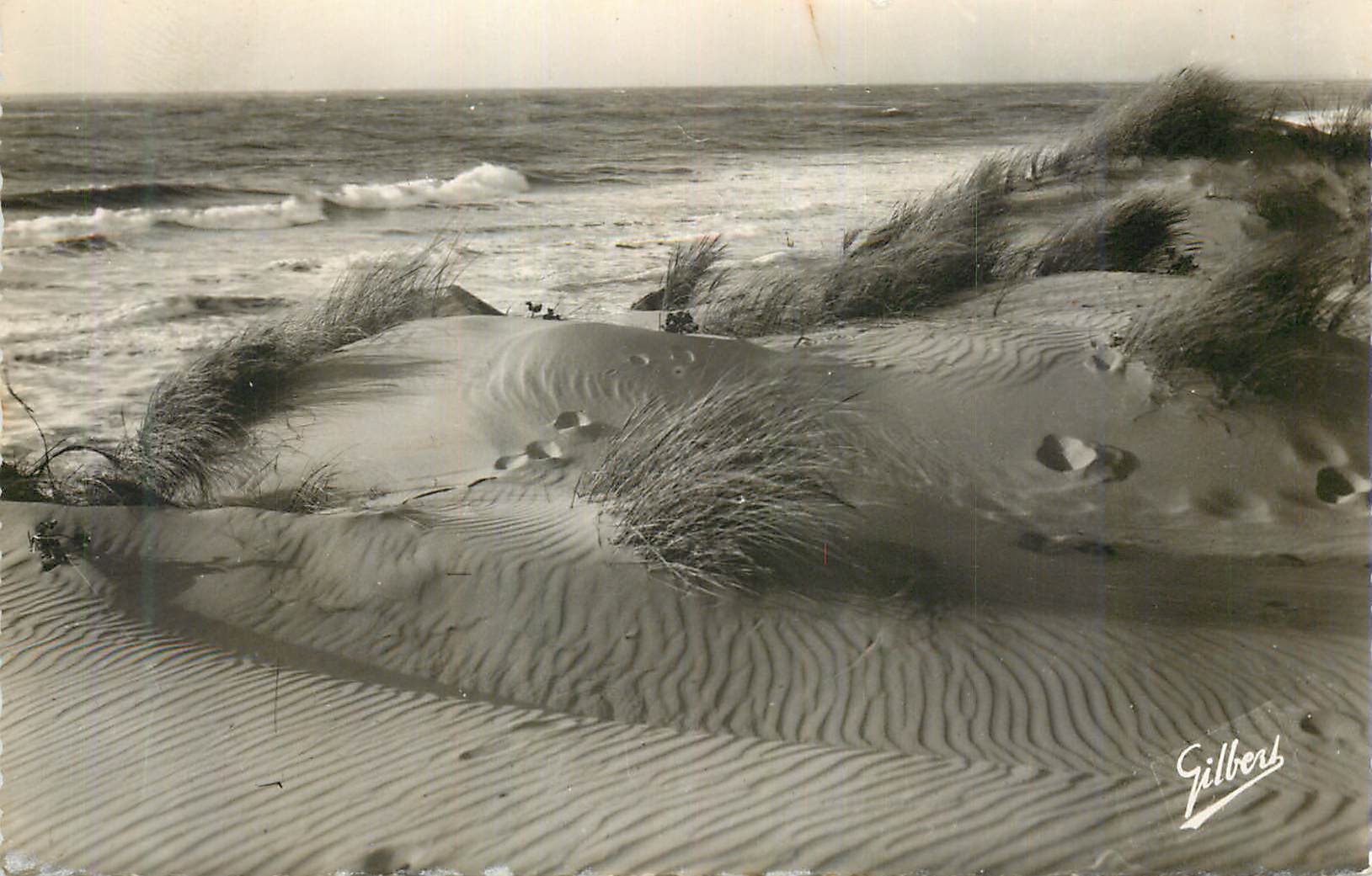 CPM Soulac sur Mer Les Dunes et l'Ocean