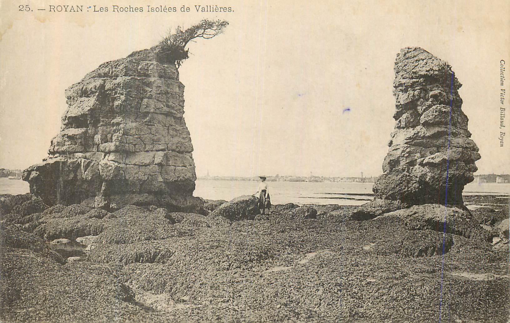 CPA Royan Les Roches isolees de Vallieres