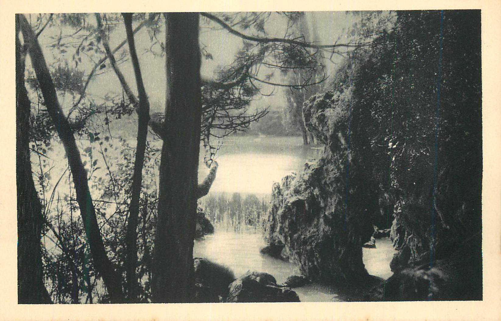 CPA Arbres