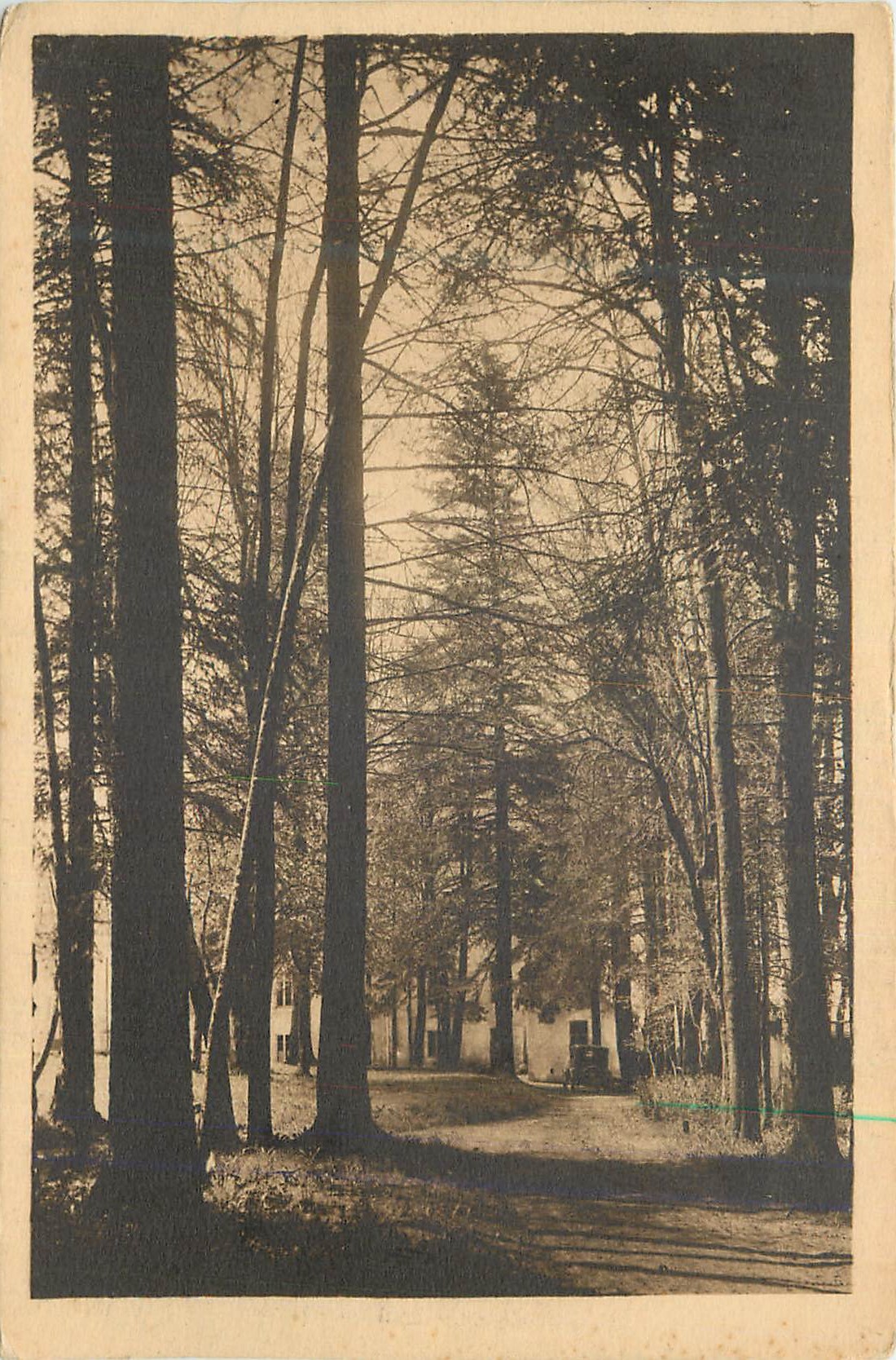 Forêt d'arbres dénudés — chemin et maison au loin — éditeur inconnu