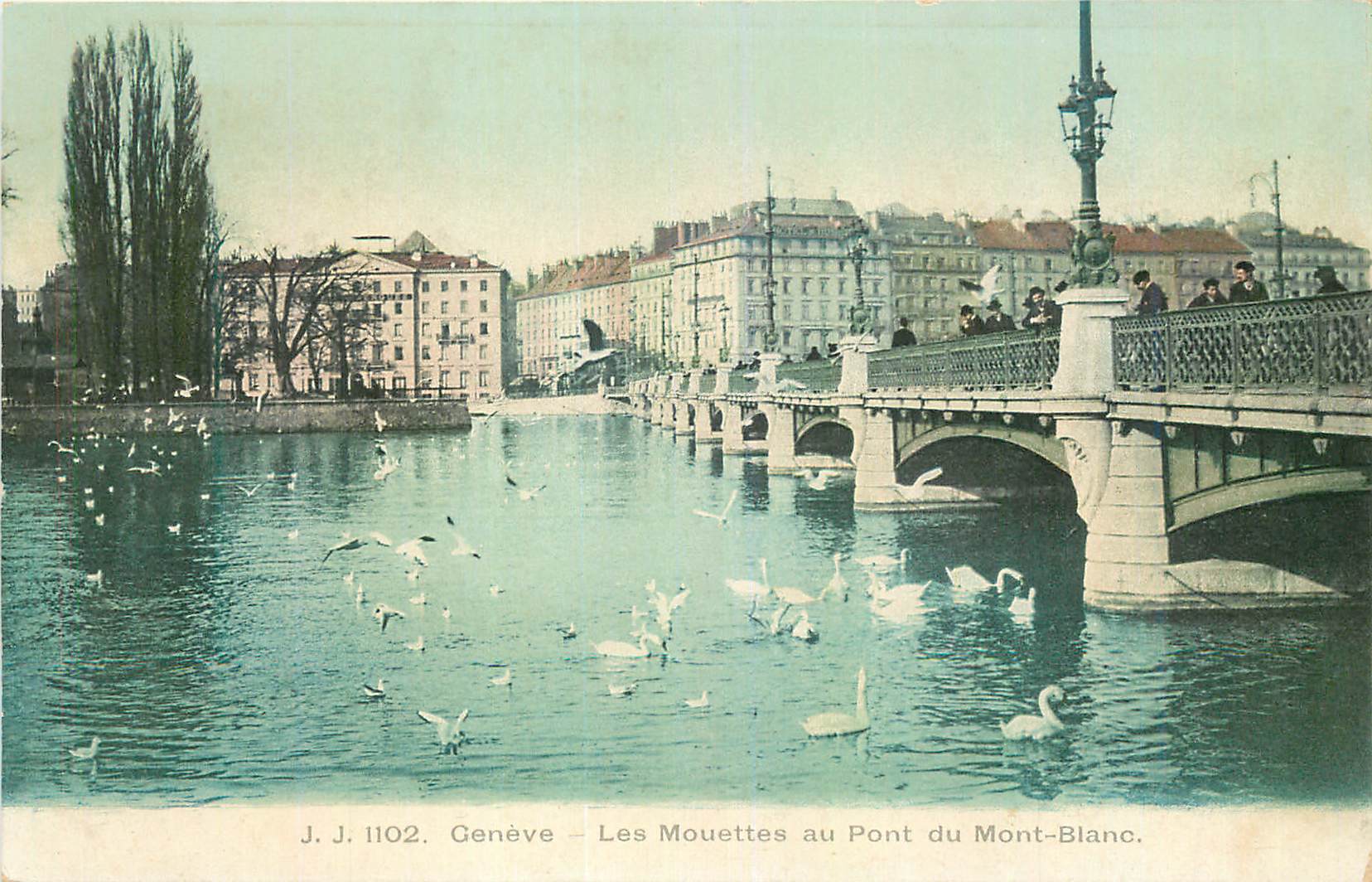 CPA Geneve Les Mouettes au Pont du Mont Blanc