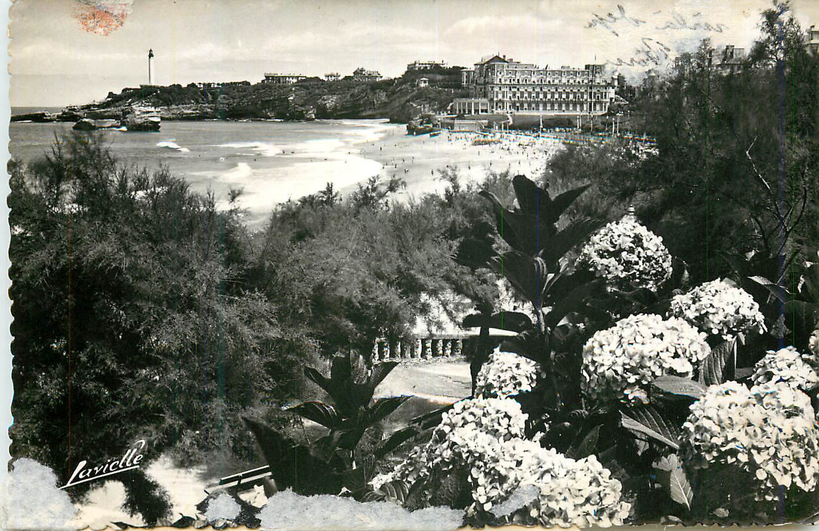 CPM Biarritz Les hortensias et vue sur la phare