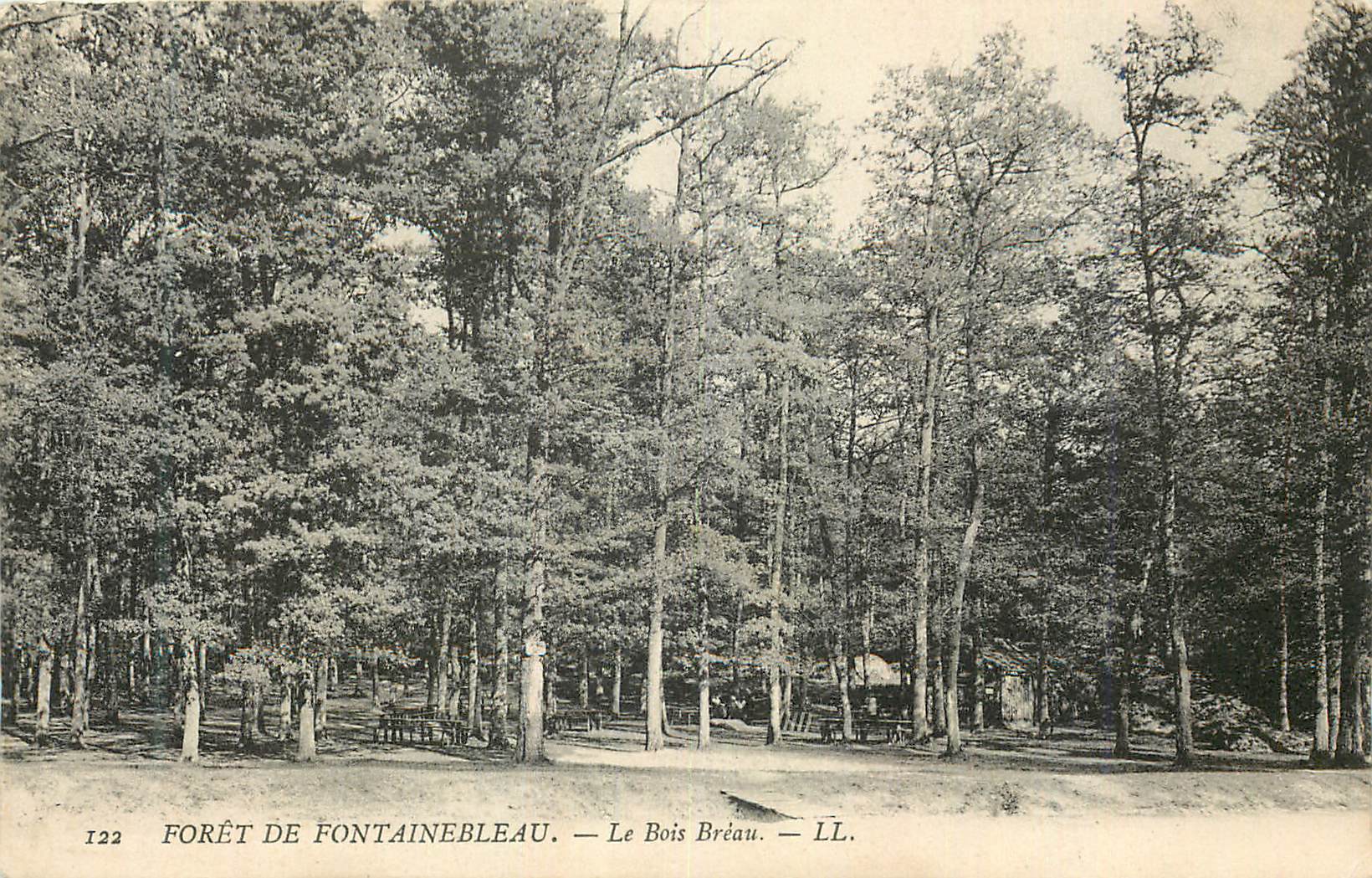 Forêt de Fontainebleau — Le Bois Bréau — LL.