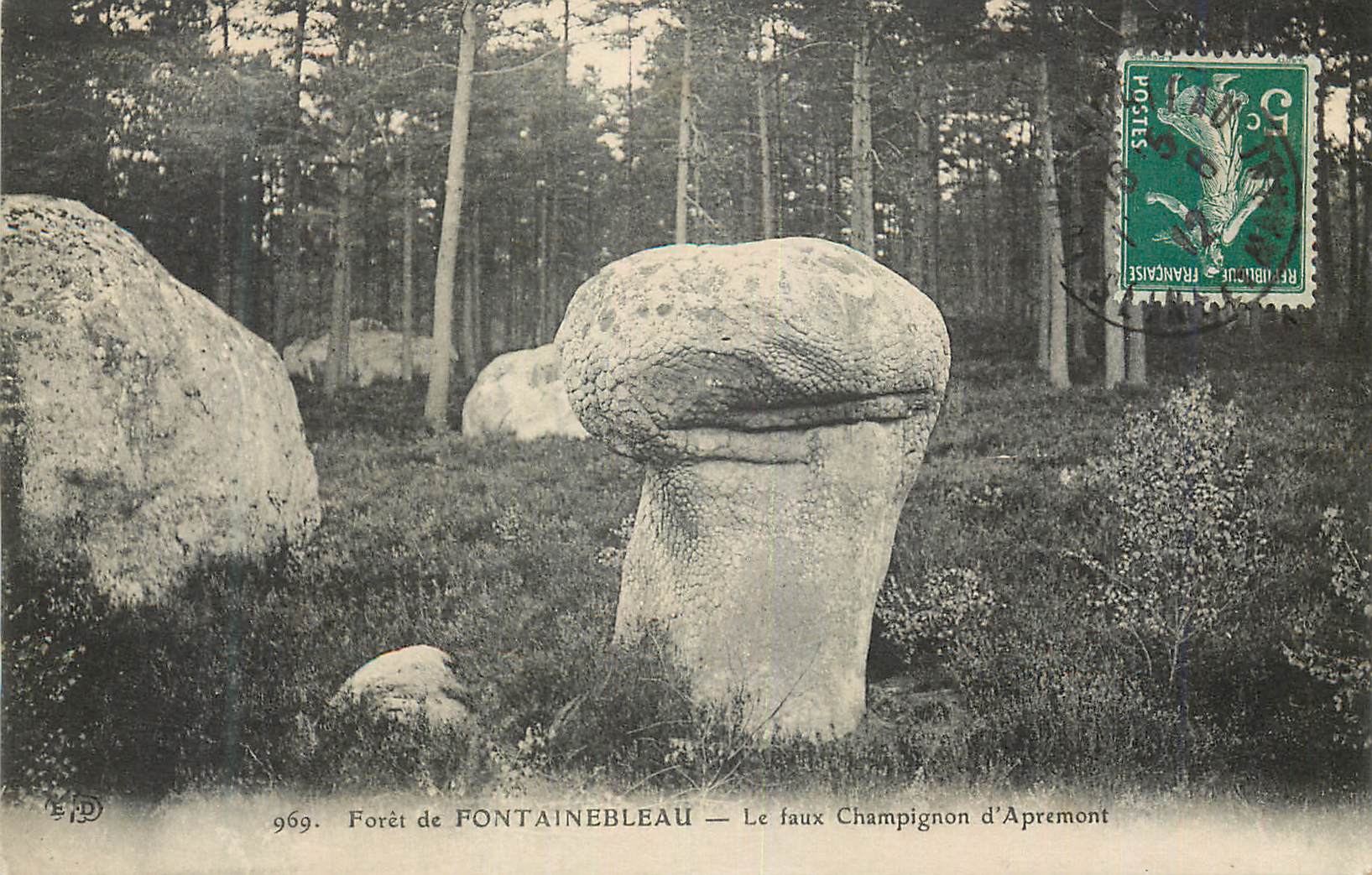 Wälder von FONTAINEBLEAU — Der falsche Pilz von Apremont