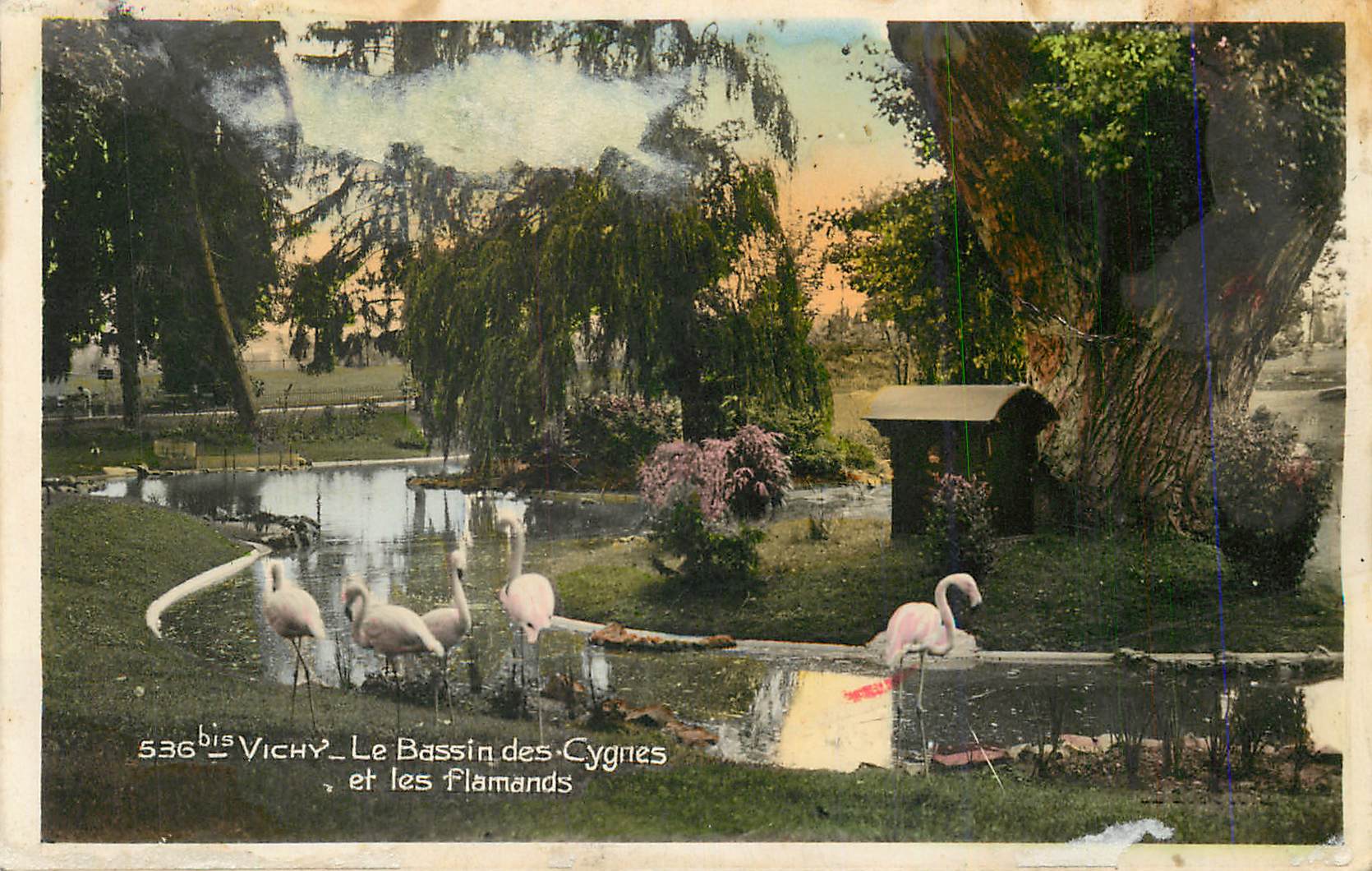 CPA Vichy Le Bassin des Cygnes et les Flamands