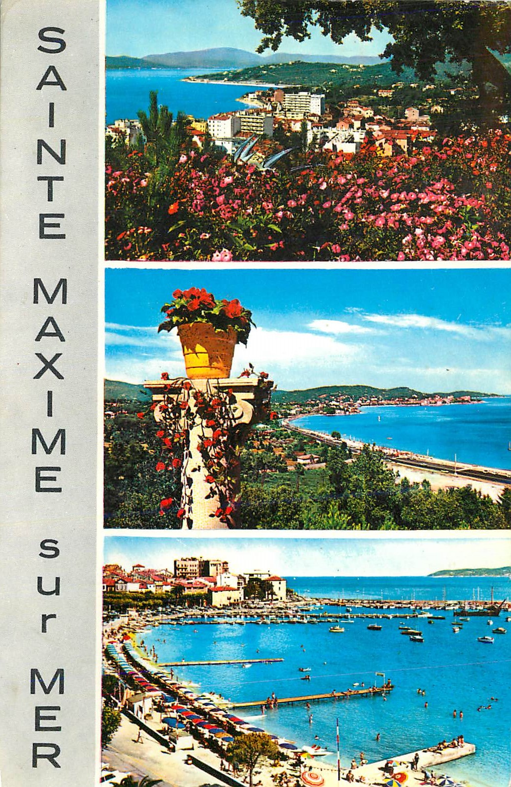 CPM Sainte Maxime sur Mer La Cote d'Azur