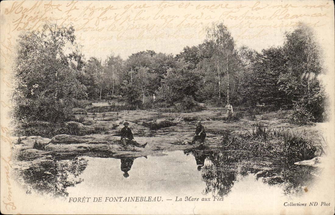 Foresta di Fontainebleau — La Mare aux Fées — Collezioni ND Phot