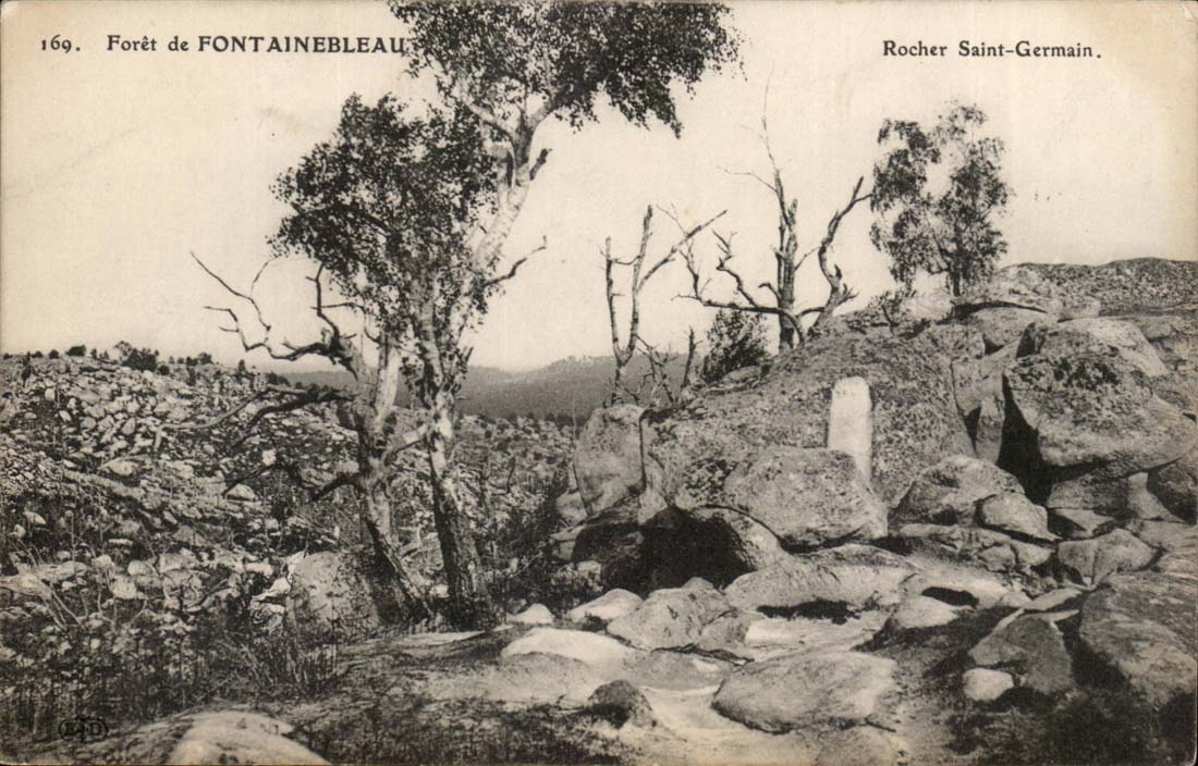 Foresta di FONTAINEBLEAU — Roccione Saint-Germain — n° 169