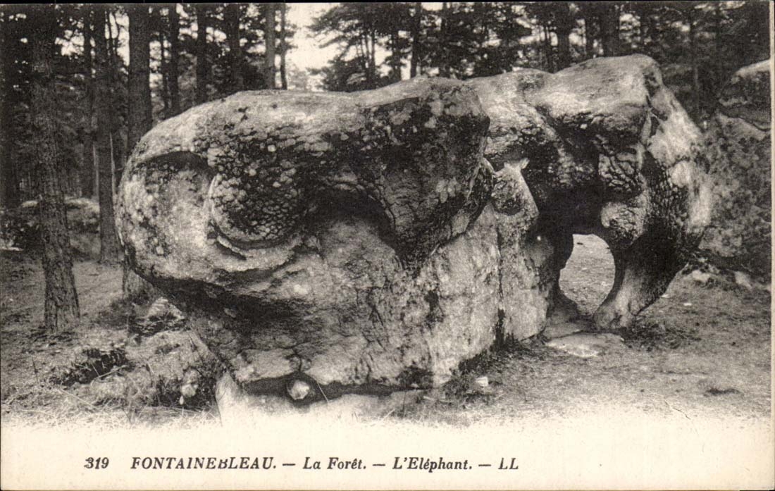 Fontainebleau — El Bosque — El Elefante — LL
