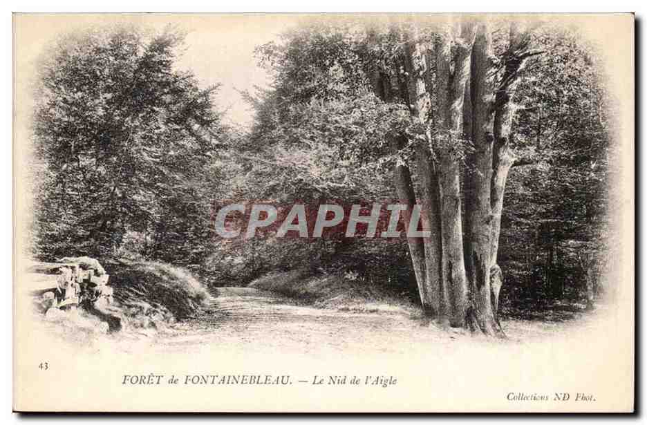 Foresta di Fontainebleau — Il Nido dell'Aquila — Collezioni ND Fot. n°43