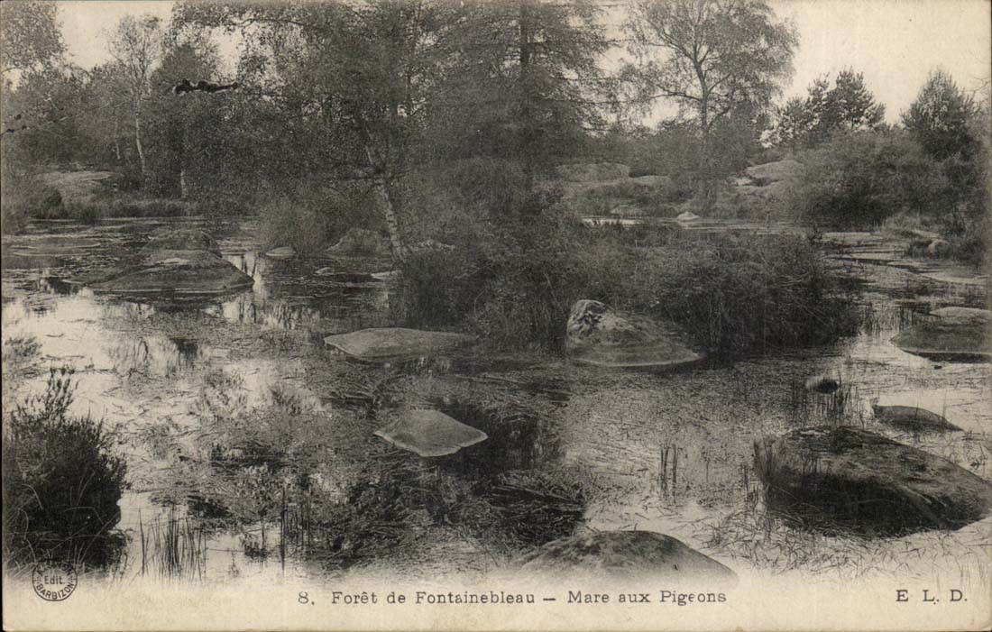 Forêt de Fontainebleau — Mare aux Pigeons — Édit. Barbillet