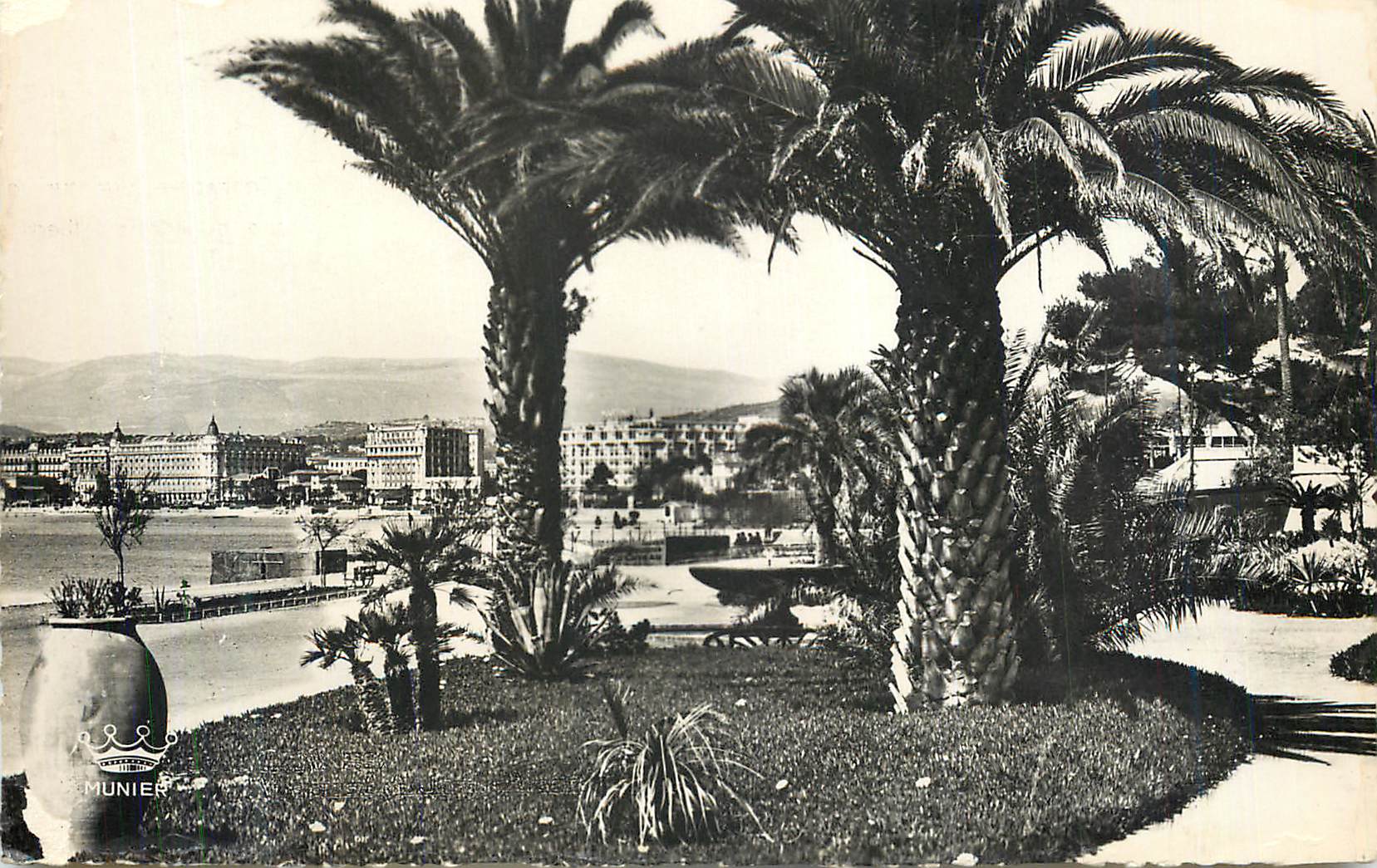 CPM Cannes vue sur les hotels prise du jardin albert 1er
