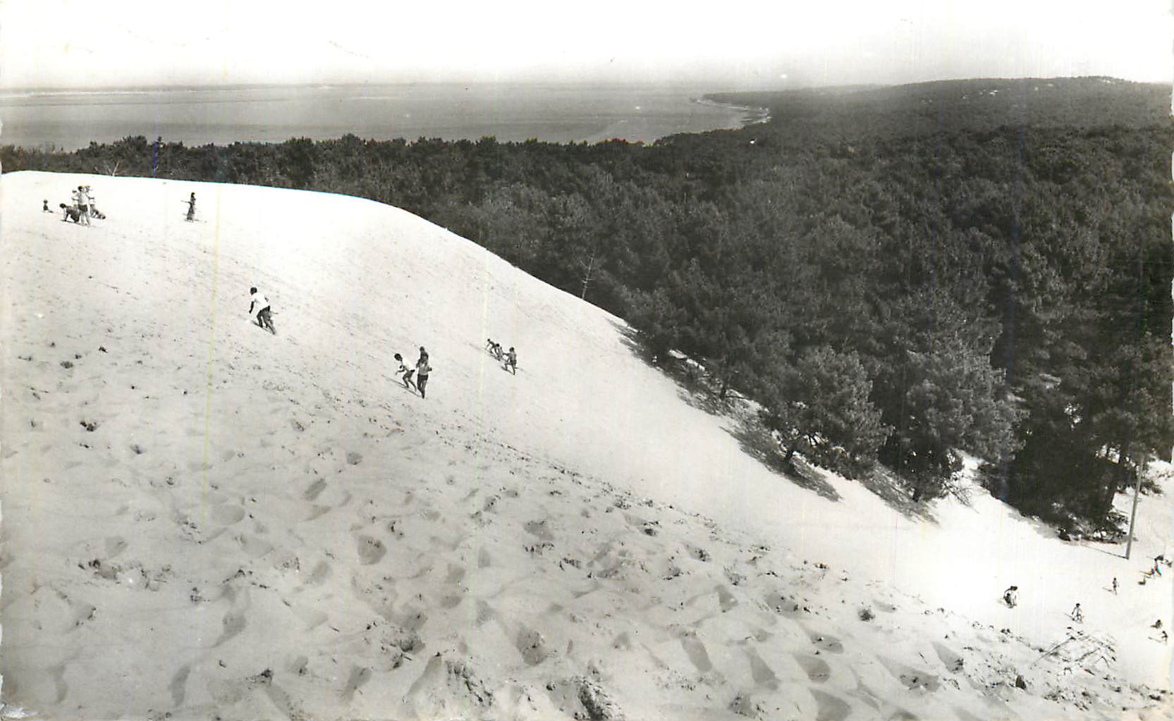 CPM Bassin d arcachon cote d argent la dune du pilat (117 m)