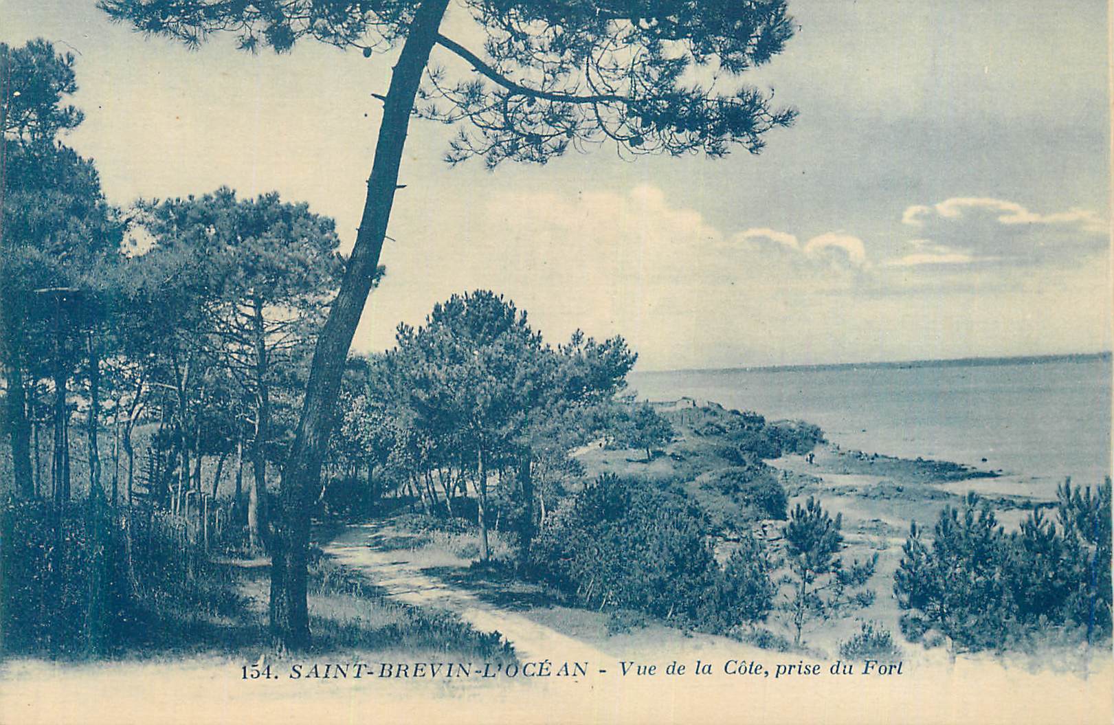 CPA Saint brevin l ocean vue de la cote prise du fort