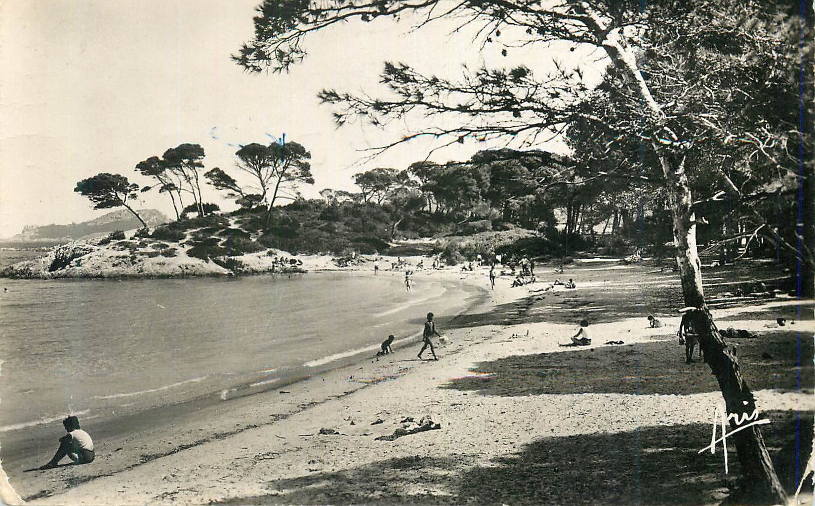 CPM Cote d azur 1598 iles de porquerolles la plage d argent