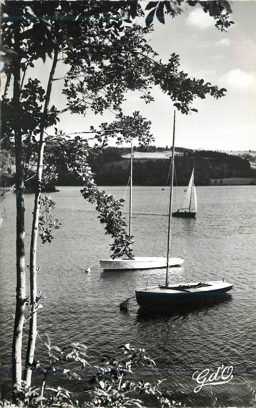 CPM L auvergne lac d aydat tours les sports nautiques le lac dans son cadre de verdure