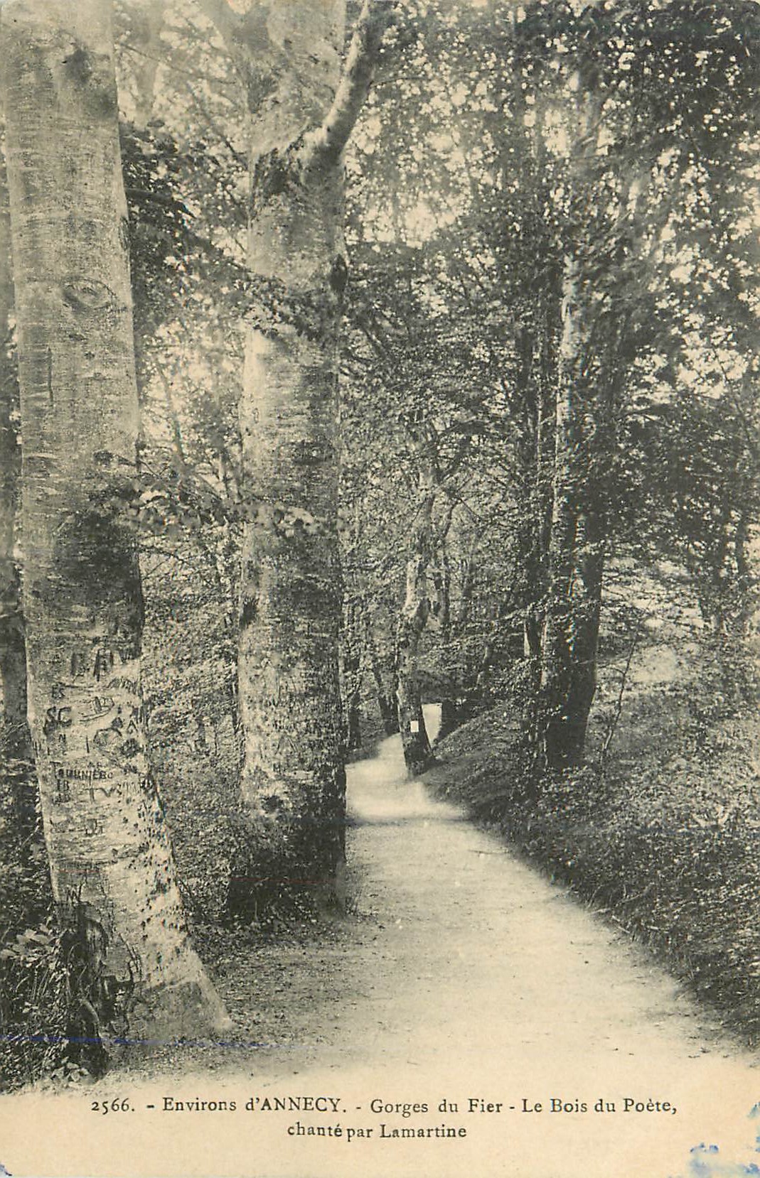 Environs d'ANNECY - Gorges du Fier - Le Bois du Poète, chanté par Lamartine