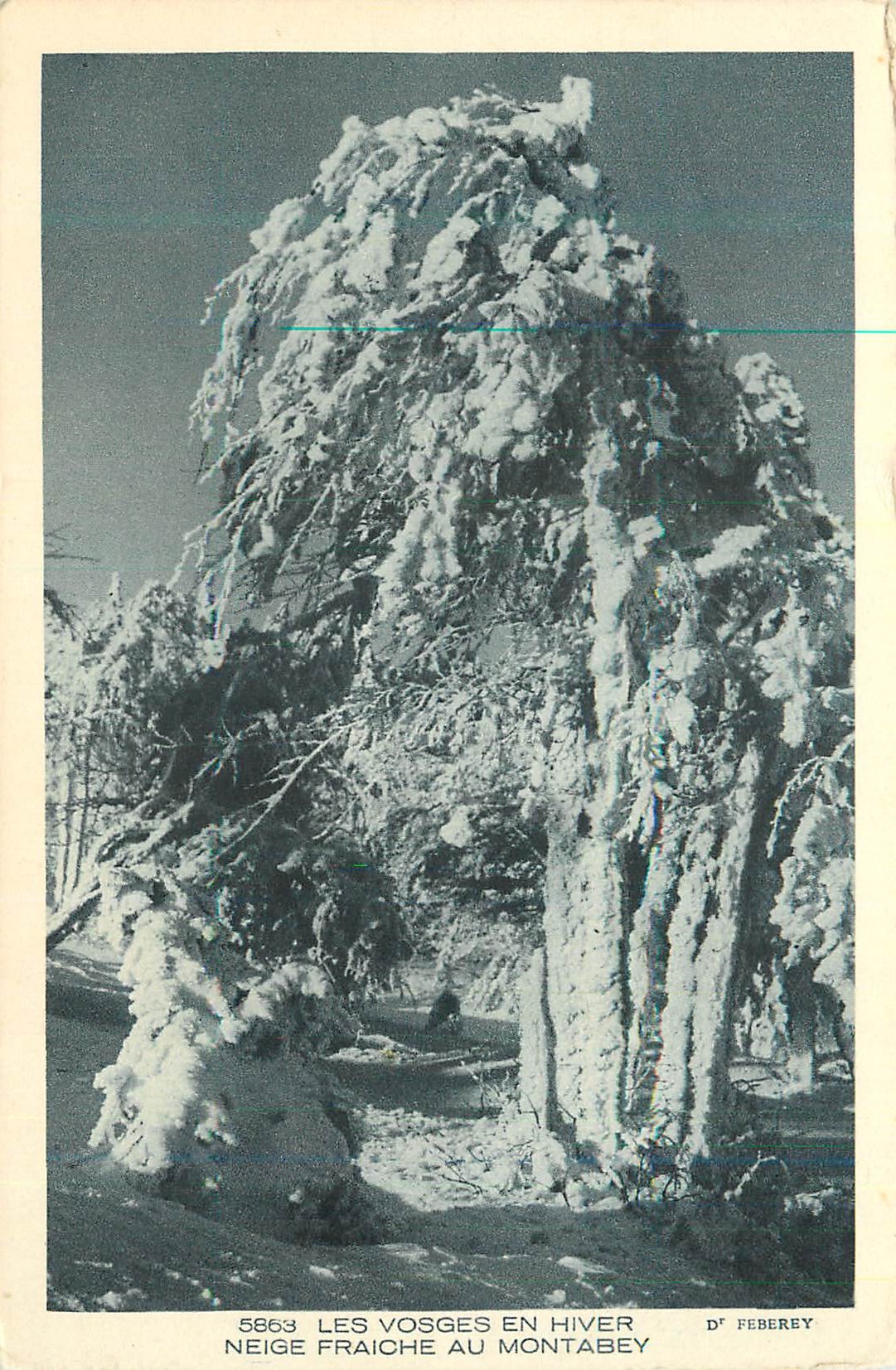 Neige fraîche au Montabey — Les Vosges en hiver — D' Féberéy, n° 5863
