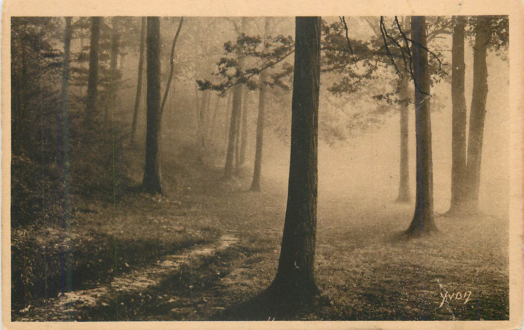 Forêt brumeuse — chemin dans la forêt — Yvon, n° 17