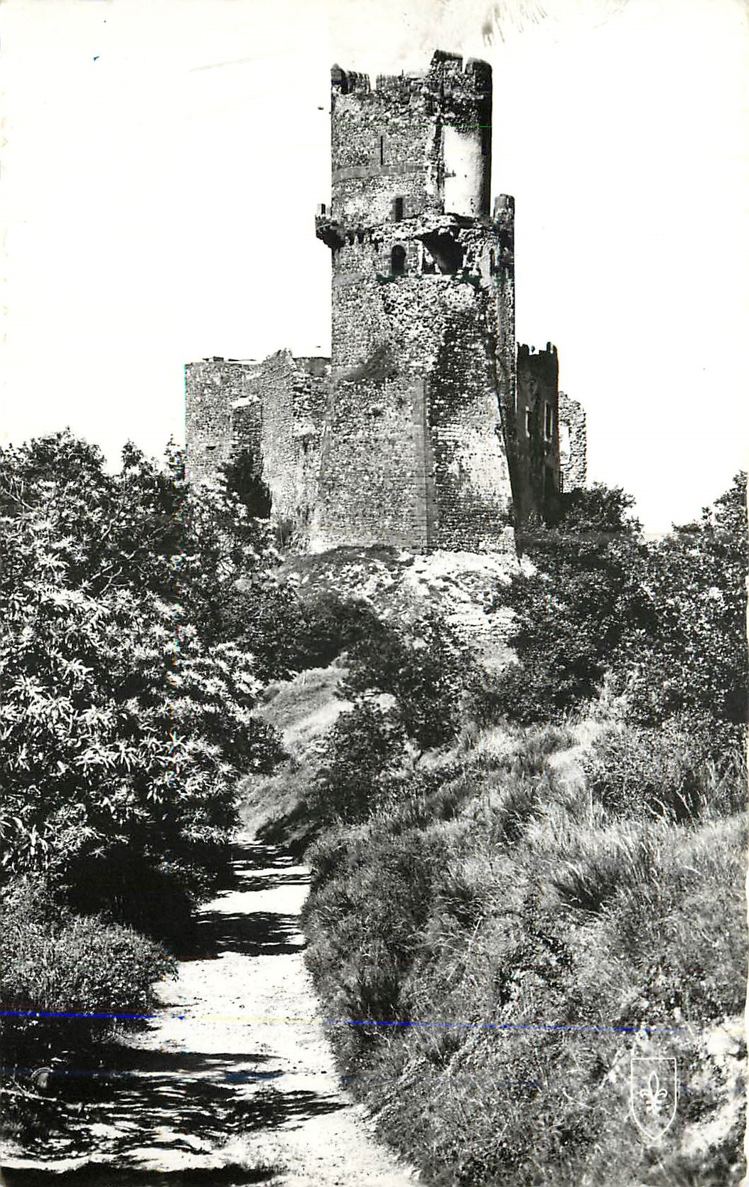 CPM Auvergne pittoresque 324 chateau de tournoel