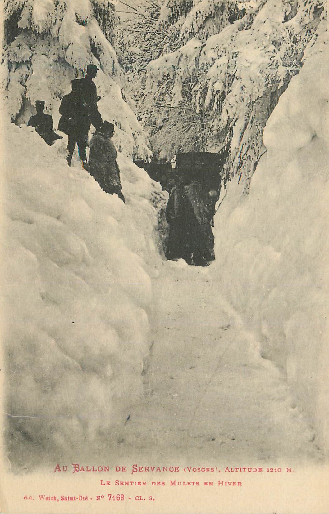 CPA Au ballon de servance (vosges) Au ballon de Servance Le sentier des mulets en hiver