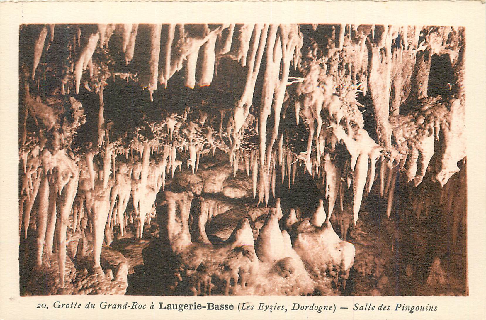 Grotte du Grand-Roc à Laugerie-Basse (Les Eyzies, Dordogne) — Salle des Pingouins — n°20