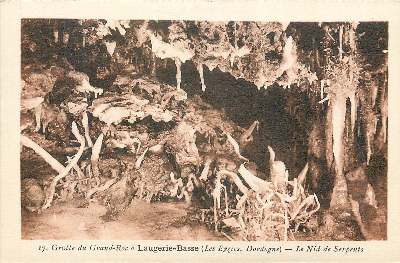 Grotte du Grand-Roc à Laugerie-Basse (Les Eyzies, Dordogne) — Le Nid de Serpents