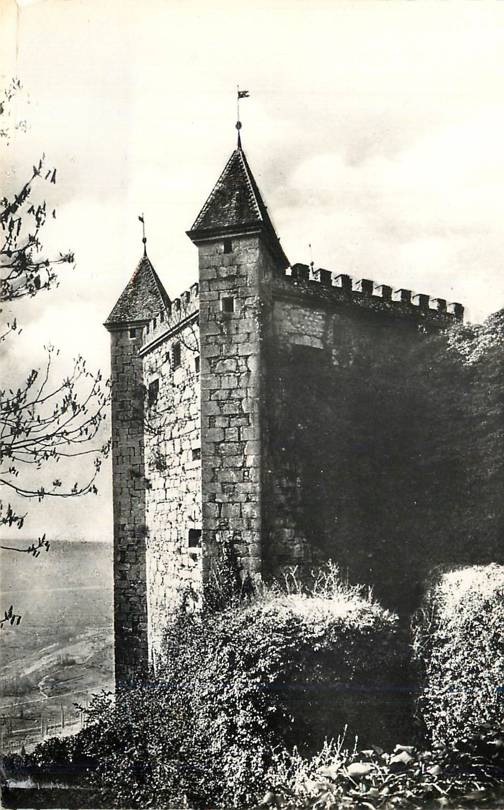 CPM Savoie tourisme 603 saint pierre d albigny visitez le chateau de miolans le donjon