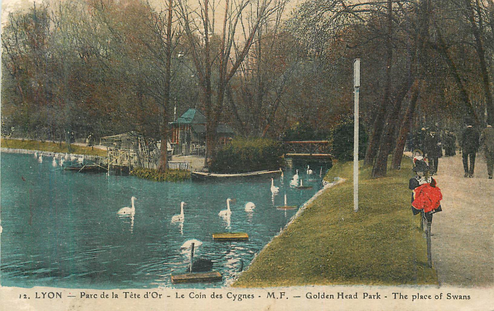 CPA Lyon parc de la tete d or le coin des cygnes