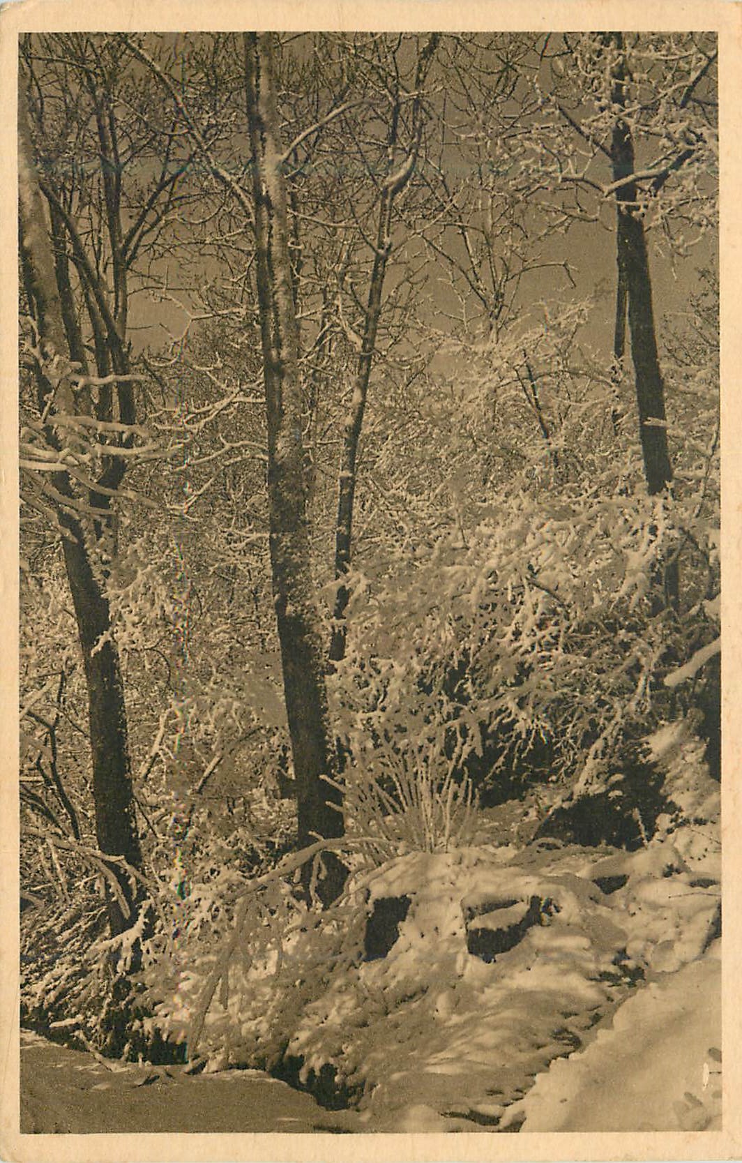 CPA Les escaldes (pyrenees orientales) le sanatorium alt 1400m le parc en hiver