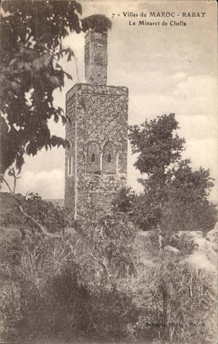 Maroc CPA Ville du Maroc Rabat Le minaret de Chelle
