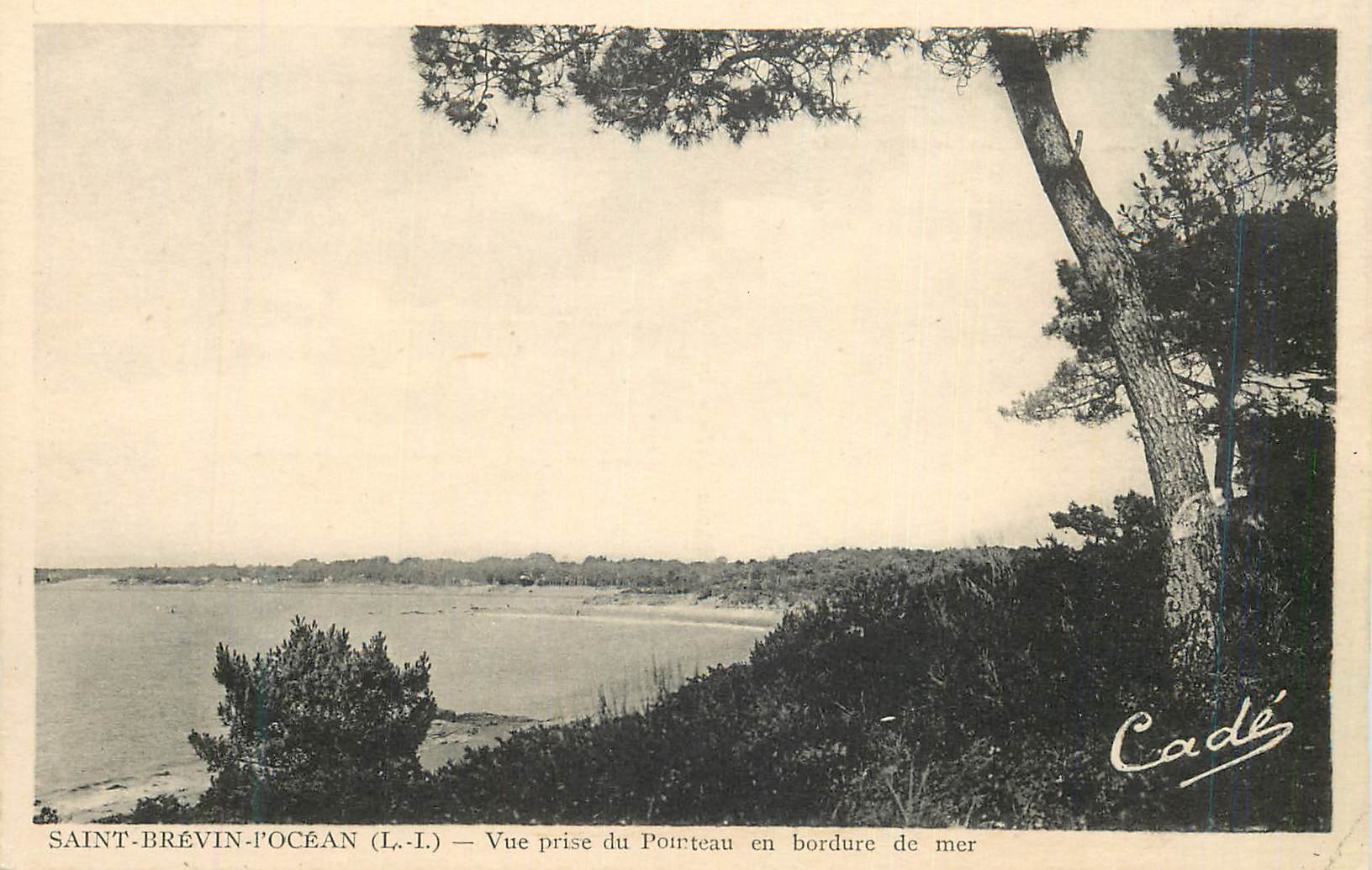 CPA Saint Brevin L'Ocean (L I) Vue prise du Pointeau en Bordure de Mer