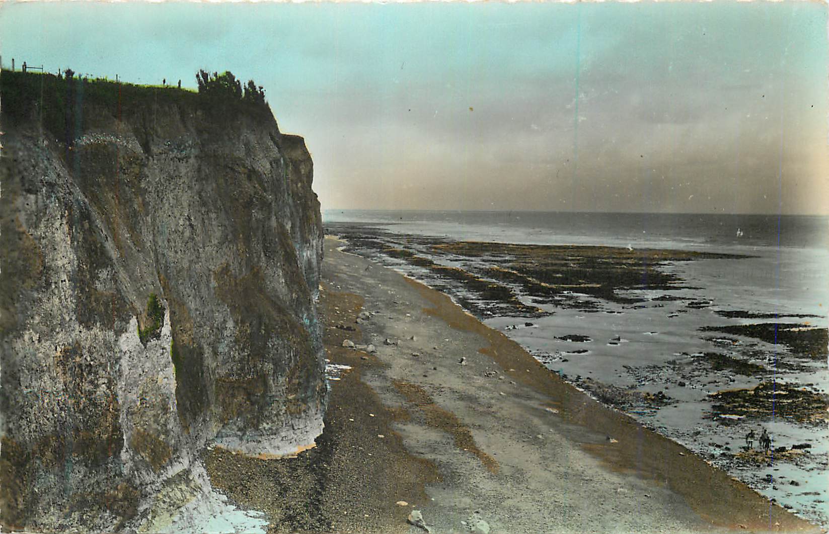 CPM Quiberville sur Mer (Seine Inf) Les Falaise d'Aval