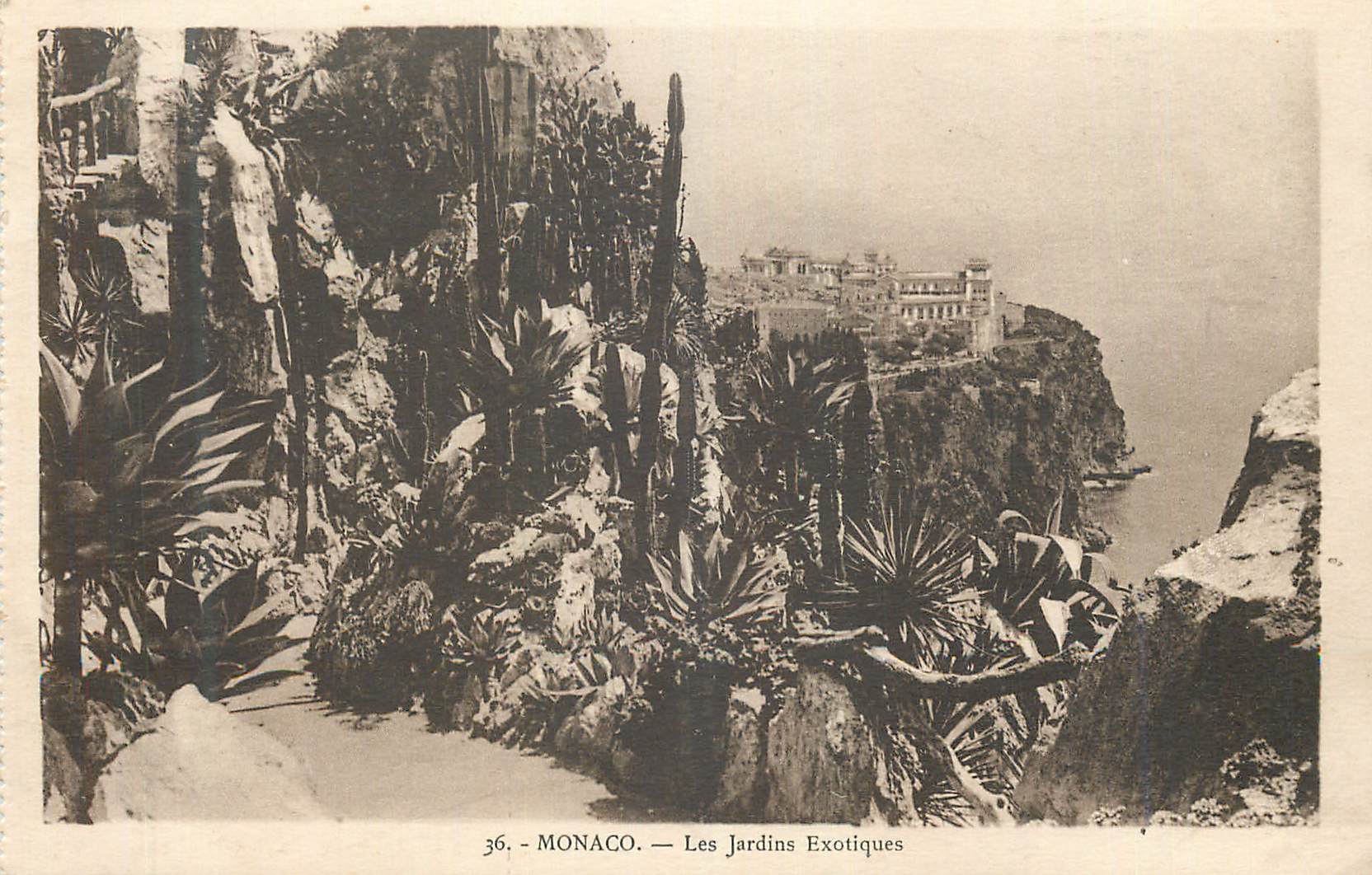 CPA Monaco Les Jardins Exotiques