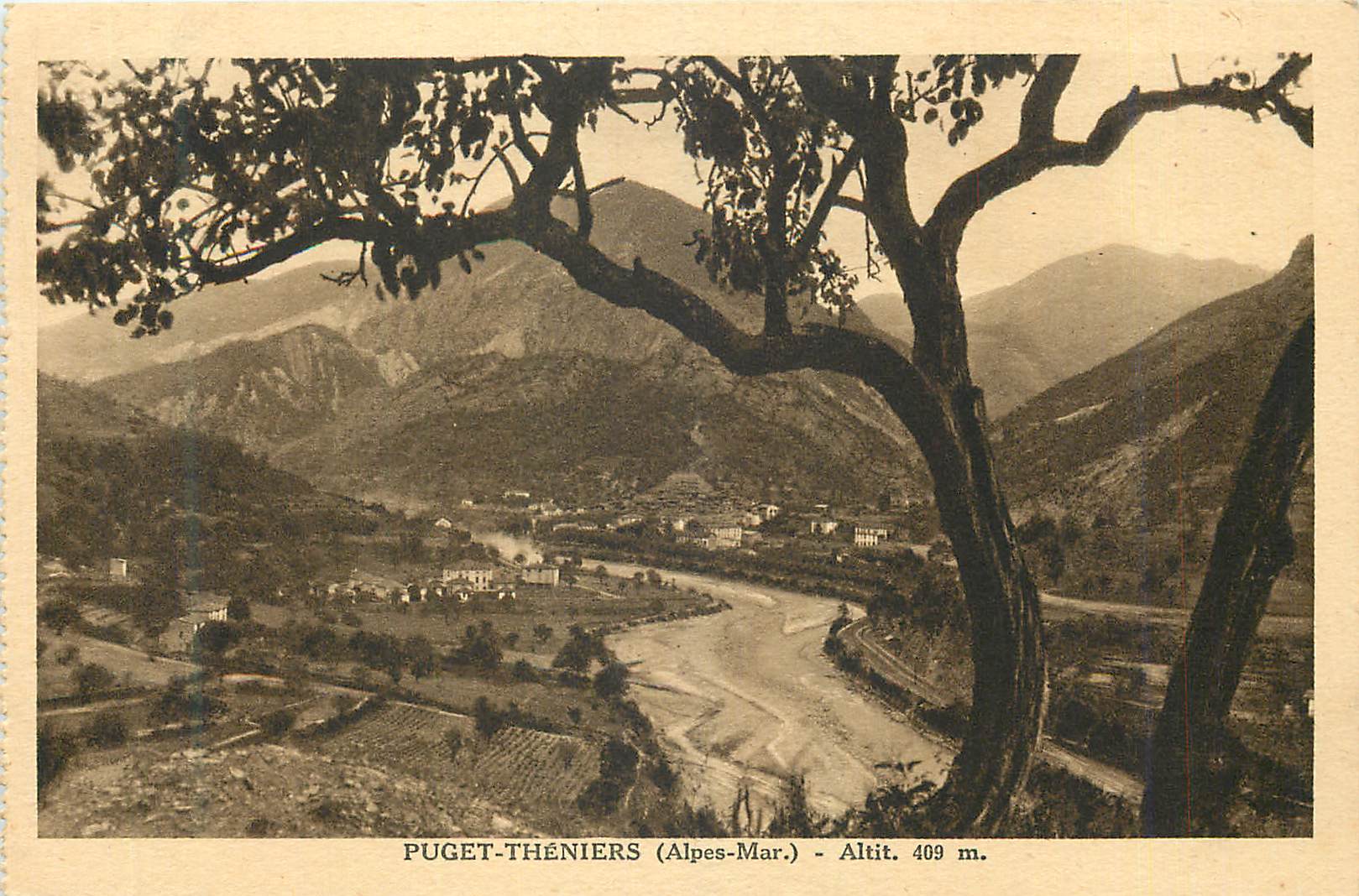 Puget-Théniers (Alpes-Mar.) — Altitude 409 m — vue panoramique depuis un arbre