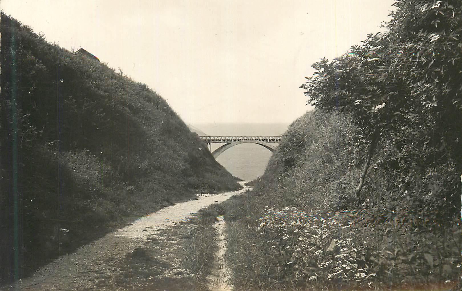 CPM Grainval St Leonard (S Inf) Descente vers la Mer
