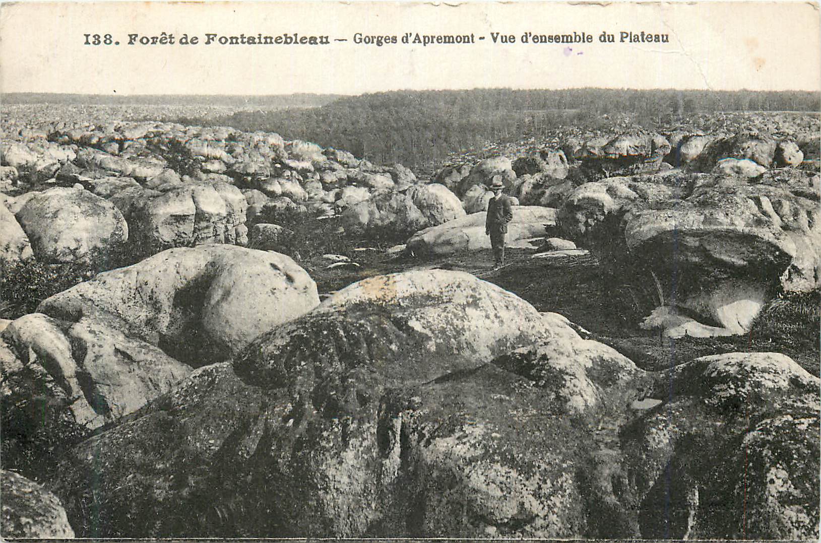 Bosque de Fontainebleau — Gargantas de Apremont — Vista panorámica del Plateau