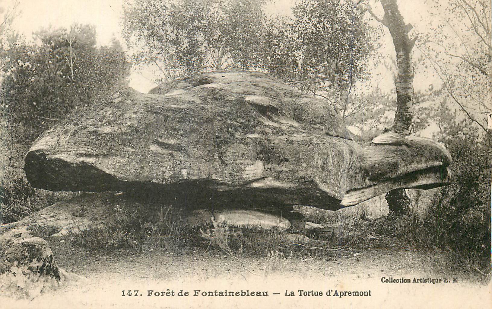 Bosque de Fontainebleau — La Tortuga de Apremont — Colección Artística L. M.