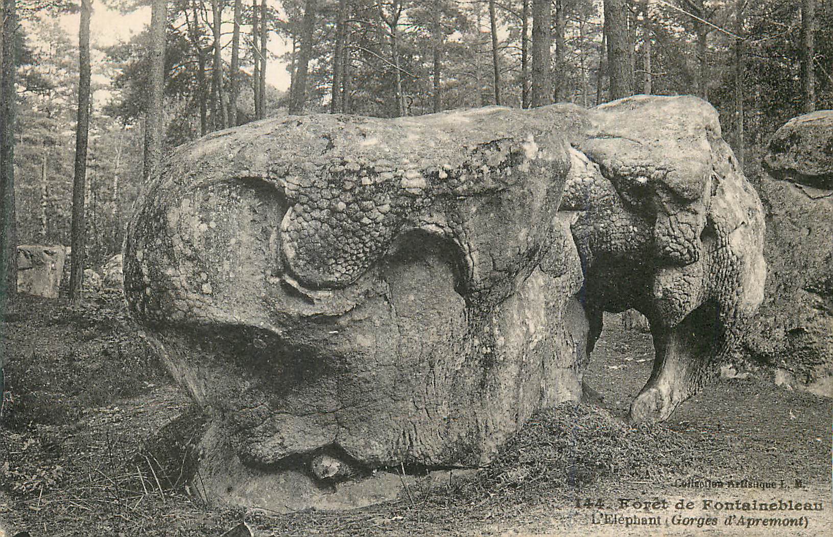 L'Éléphant — Forêt de Fontainebleau — Collection Artistique L. M. n°144