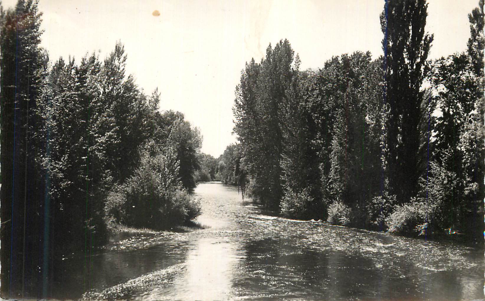 CPM Le Saillant (Correze) La Vezere