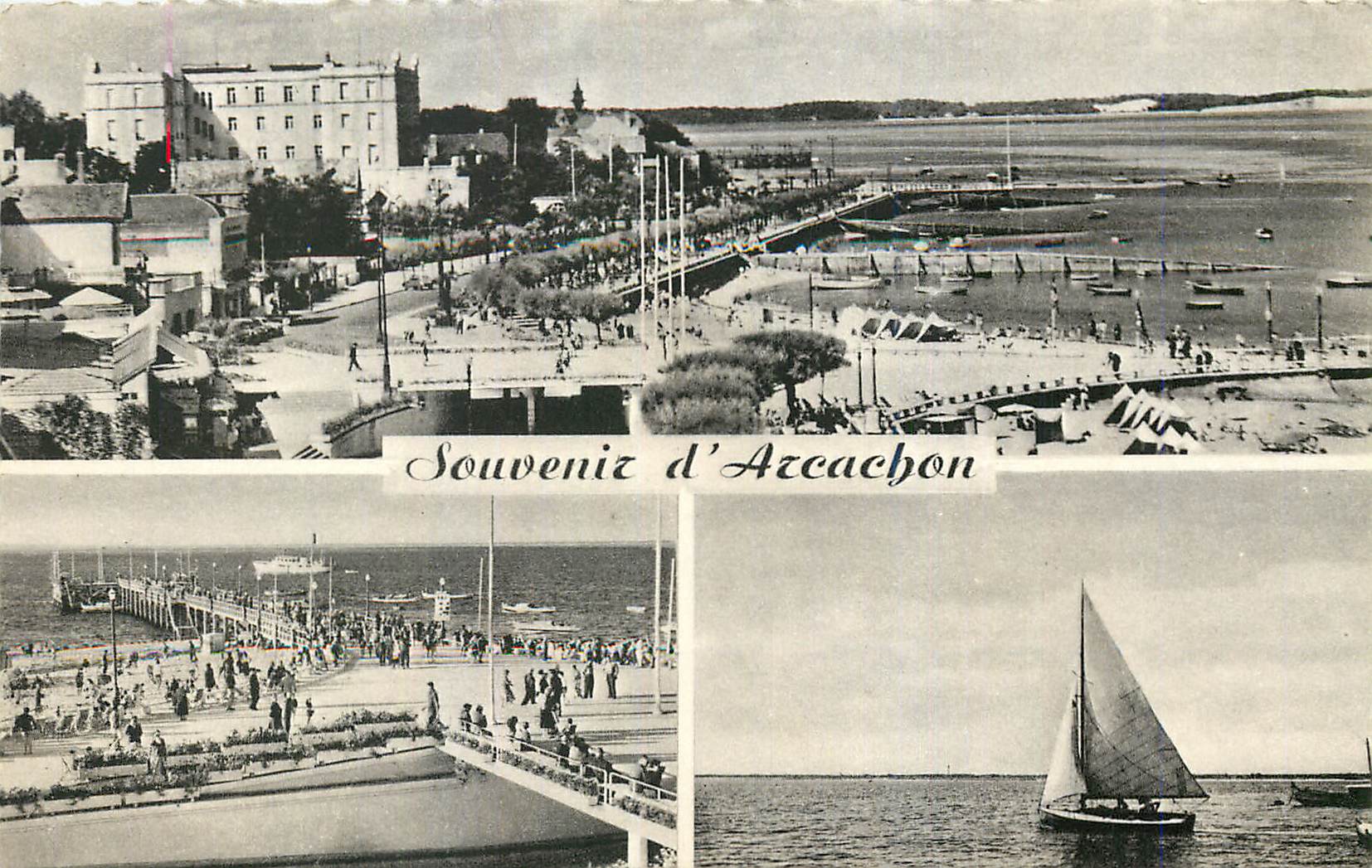 CPM Arcachon Cote d'Argent Vue panoramique Jetee d'Eyrac Regate