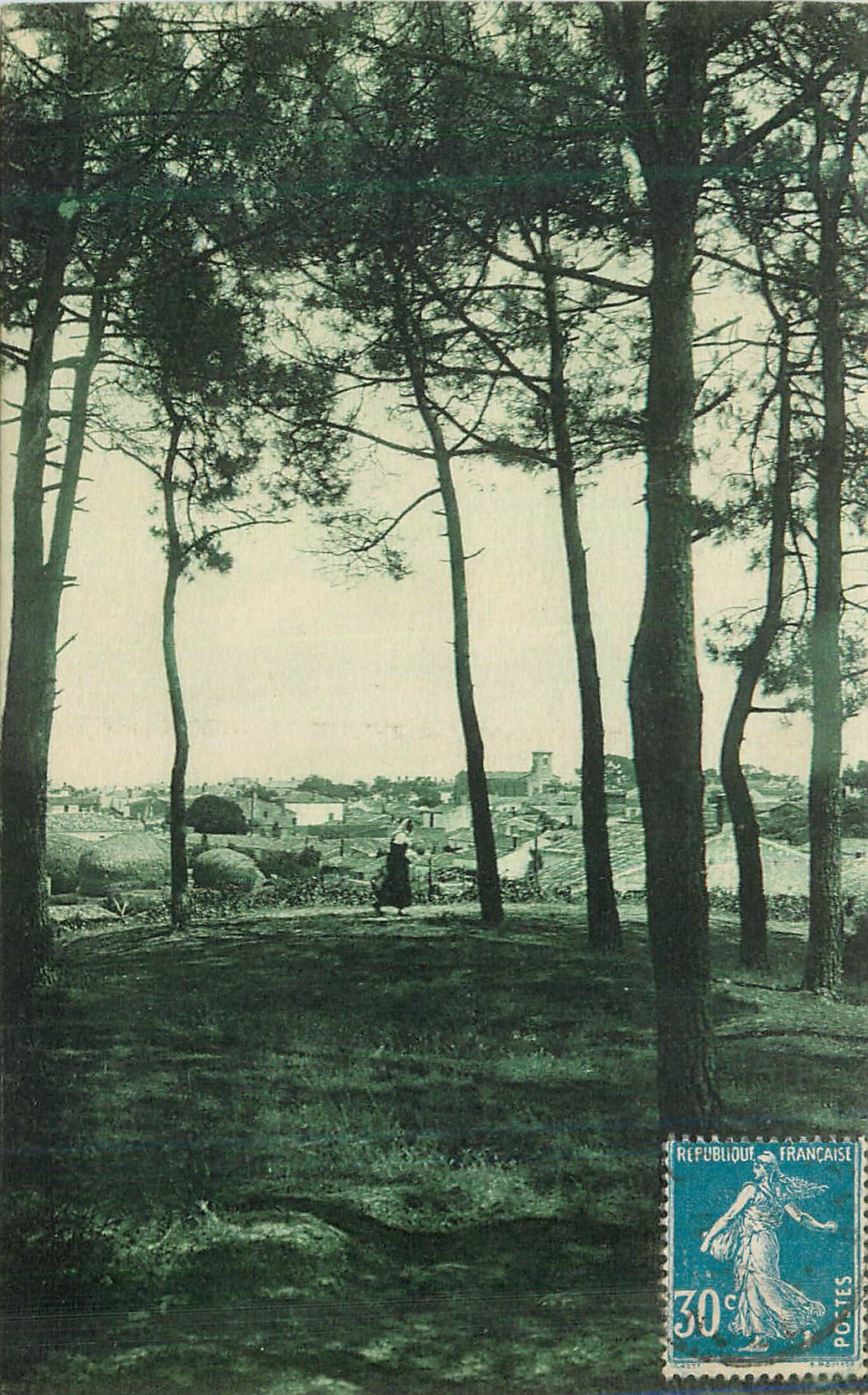 CPA La Tranche sur Mer Vue des bois de Pins