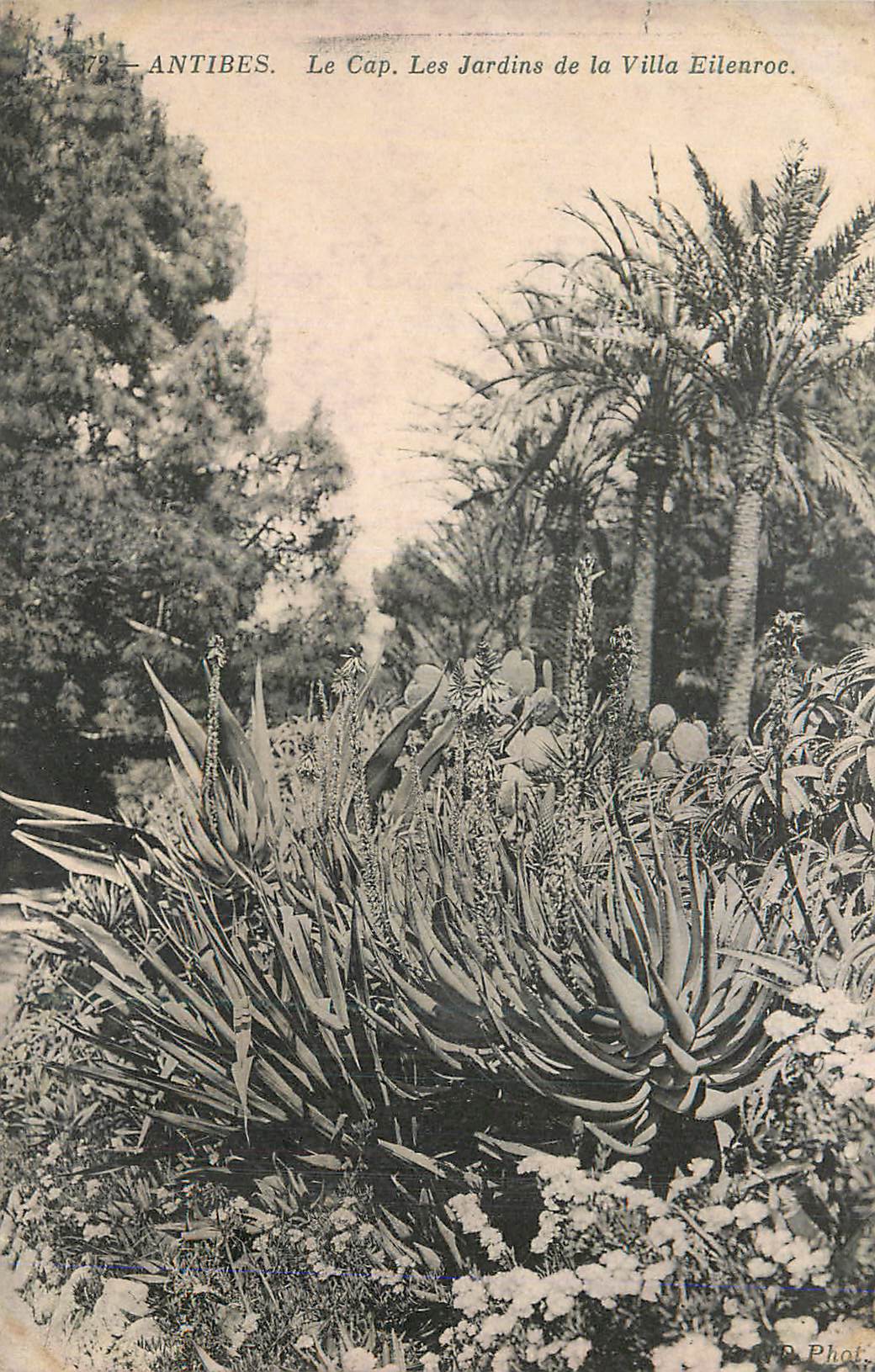 CPA Antibes Le Cap Les Jardins de la Villa Eilenroc