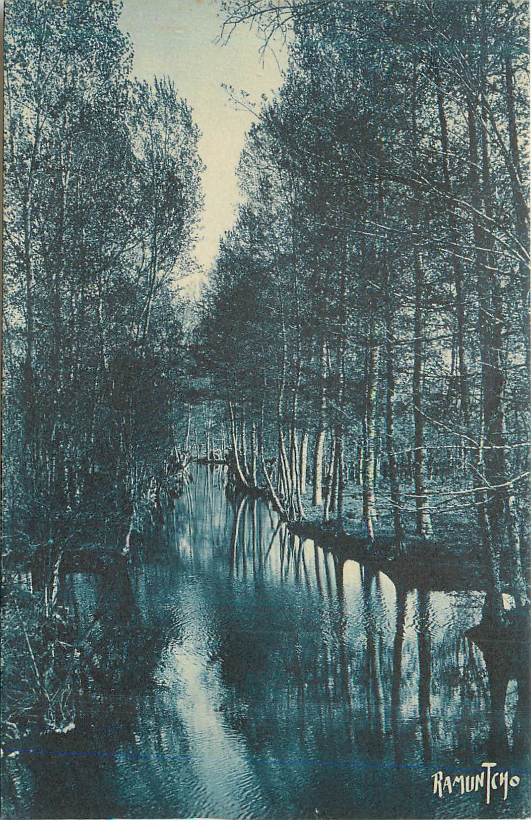 CPA Le Marais Poitevin vers Coulon