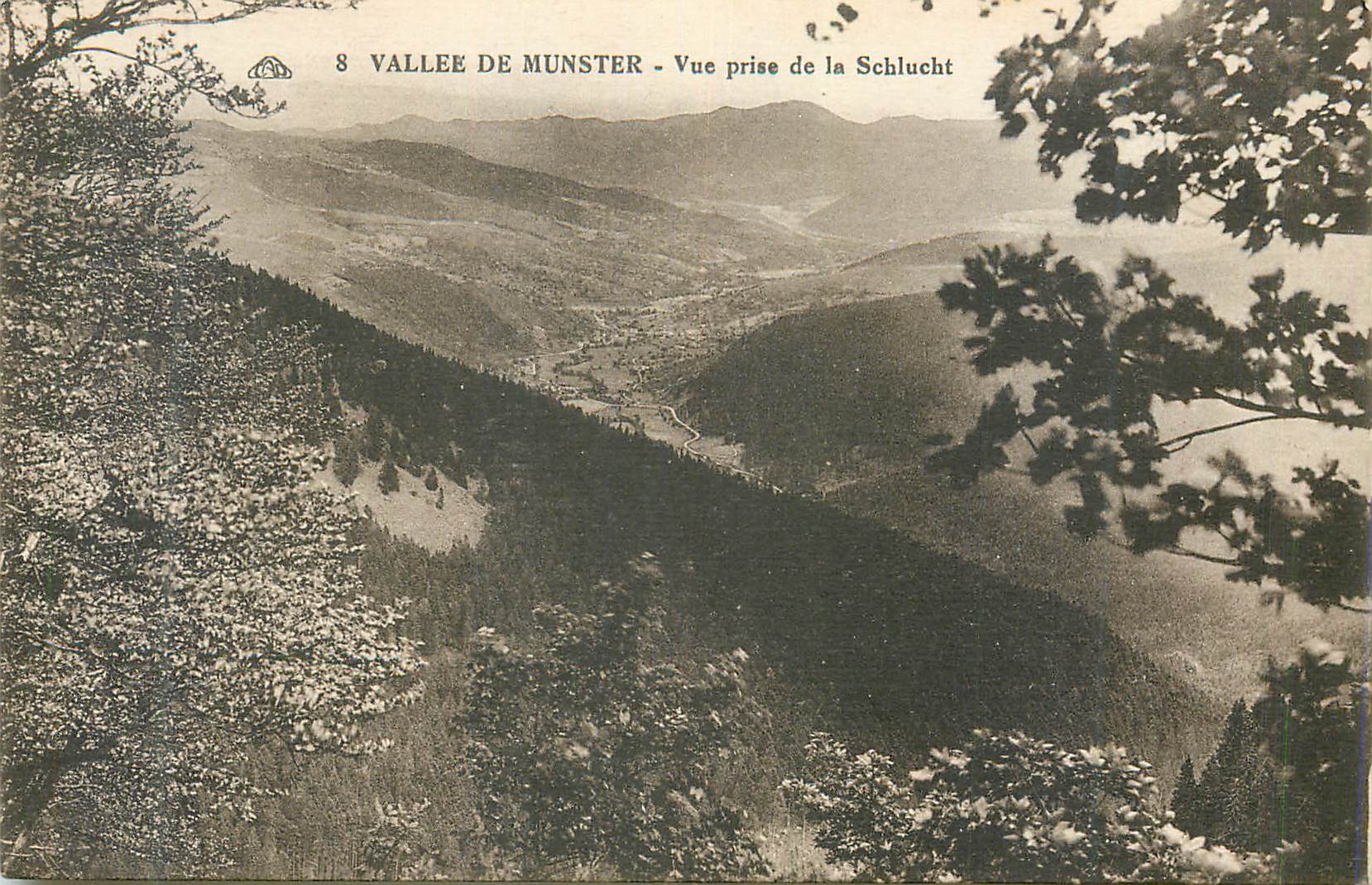 CPA Vallee de Munster Vue prise de la Schlucht