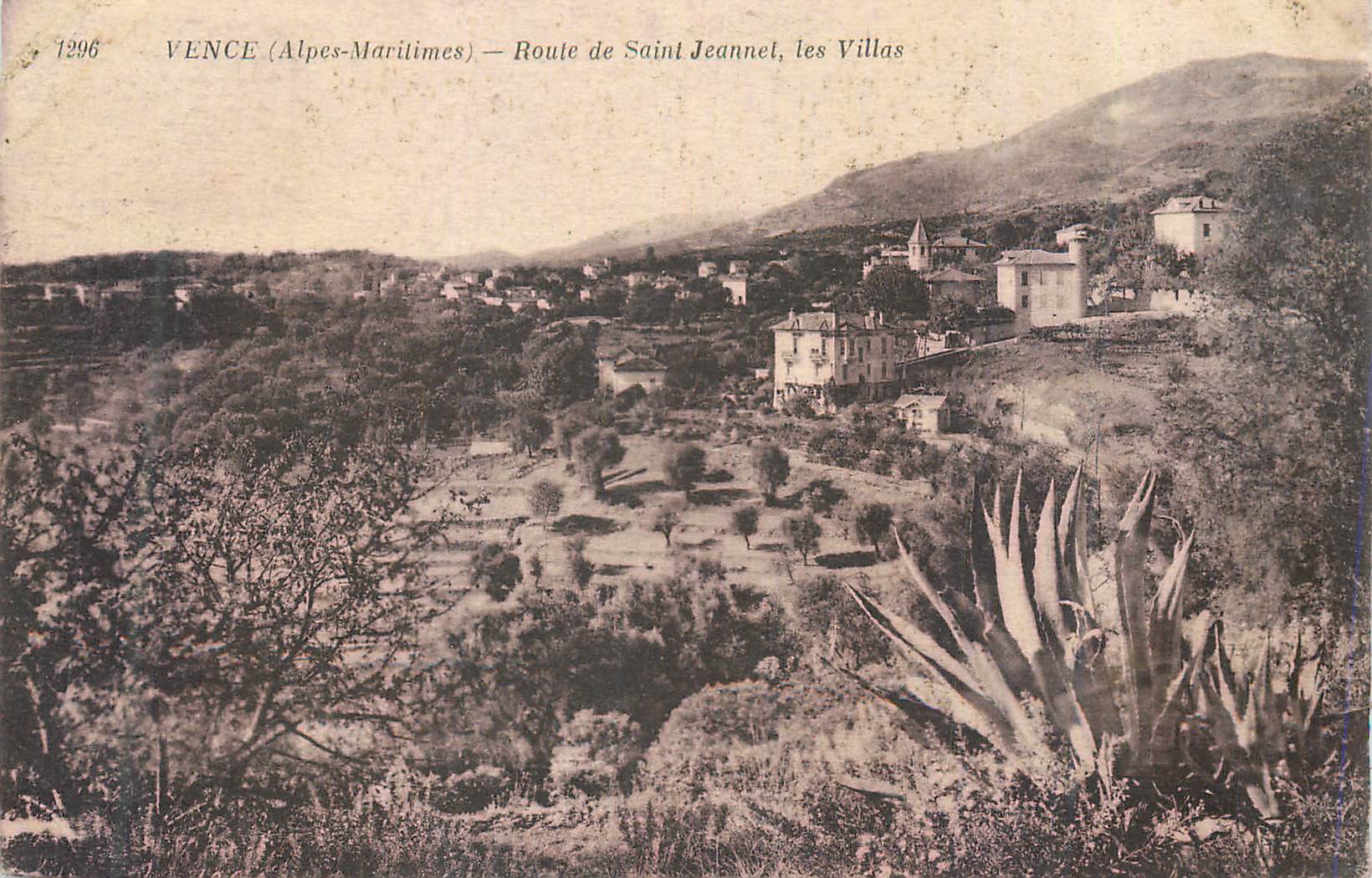CPA Vence (Alpes Maritimes) Route de Saint Jeannet les Villas