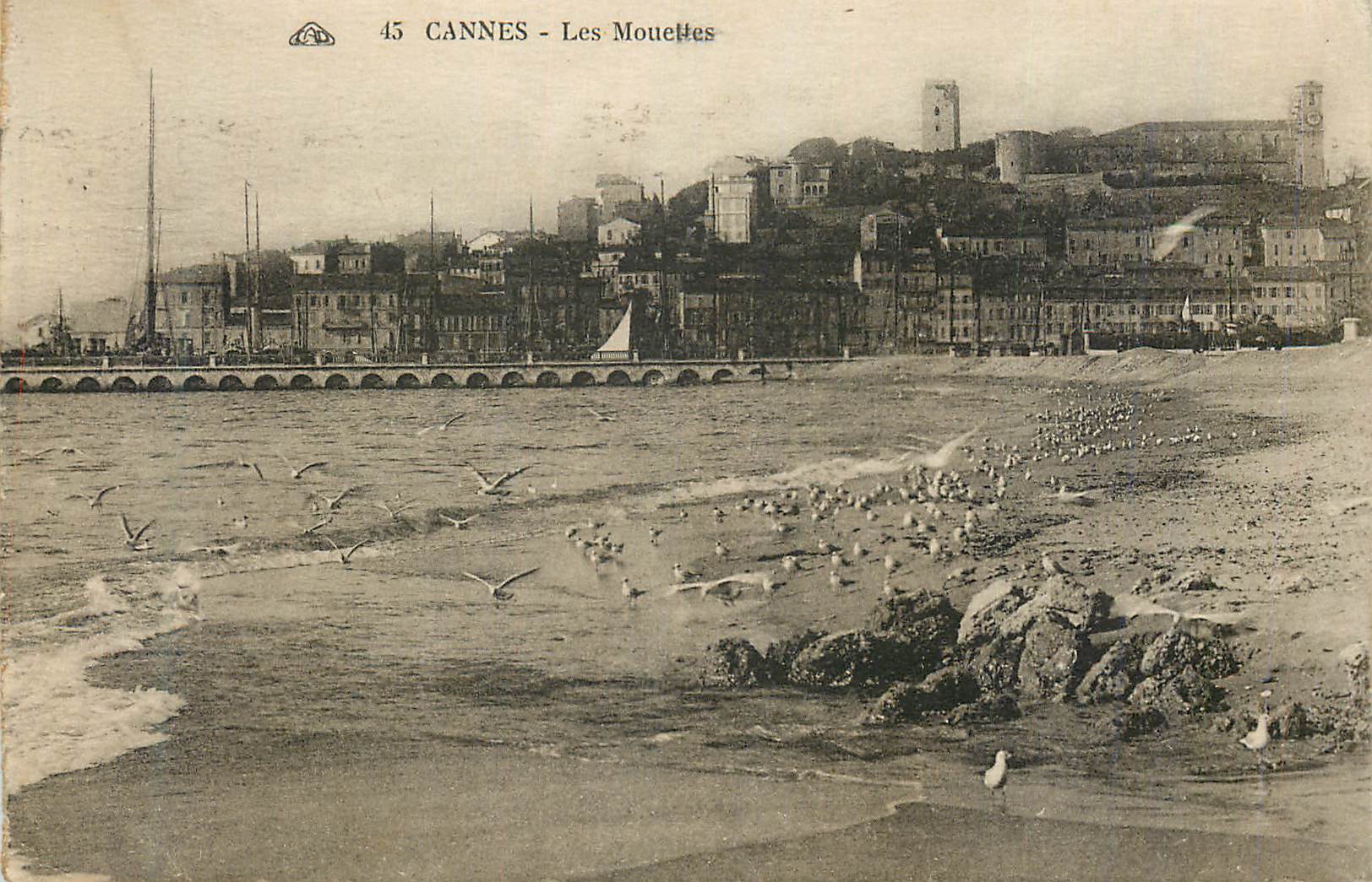 CPA Cannes Les Mouettes