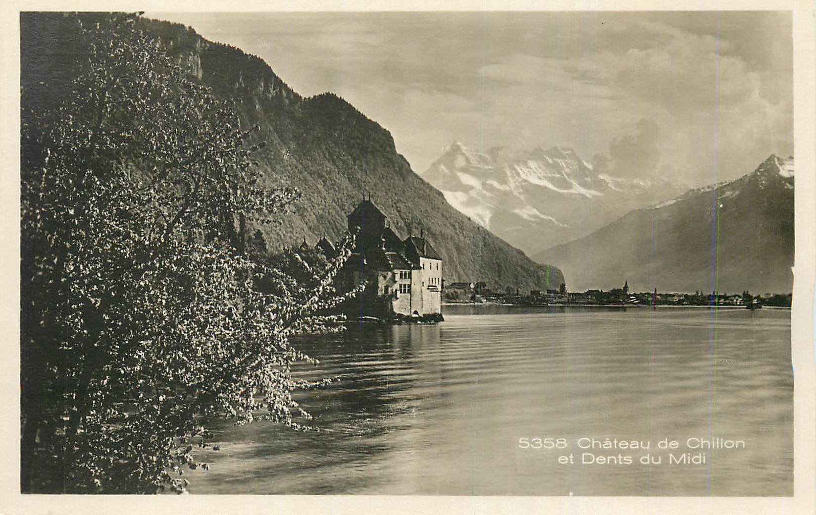 CPA Chateau de Chillon et Dents du Midi