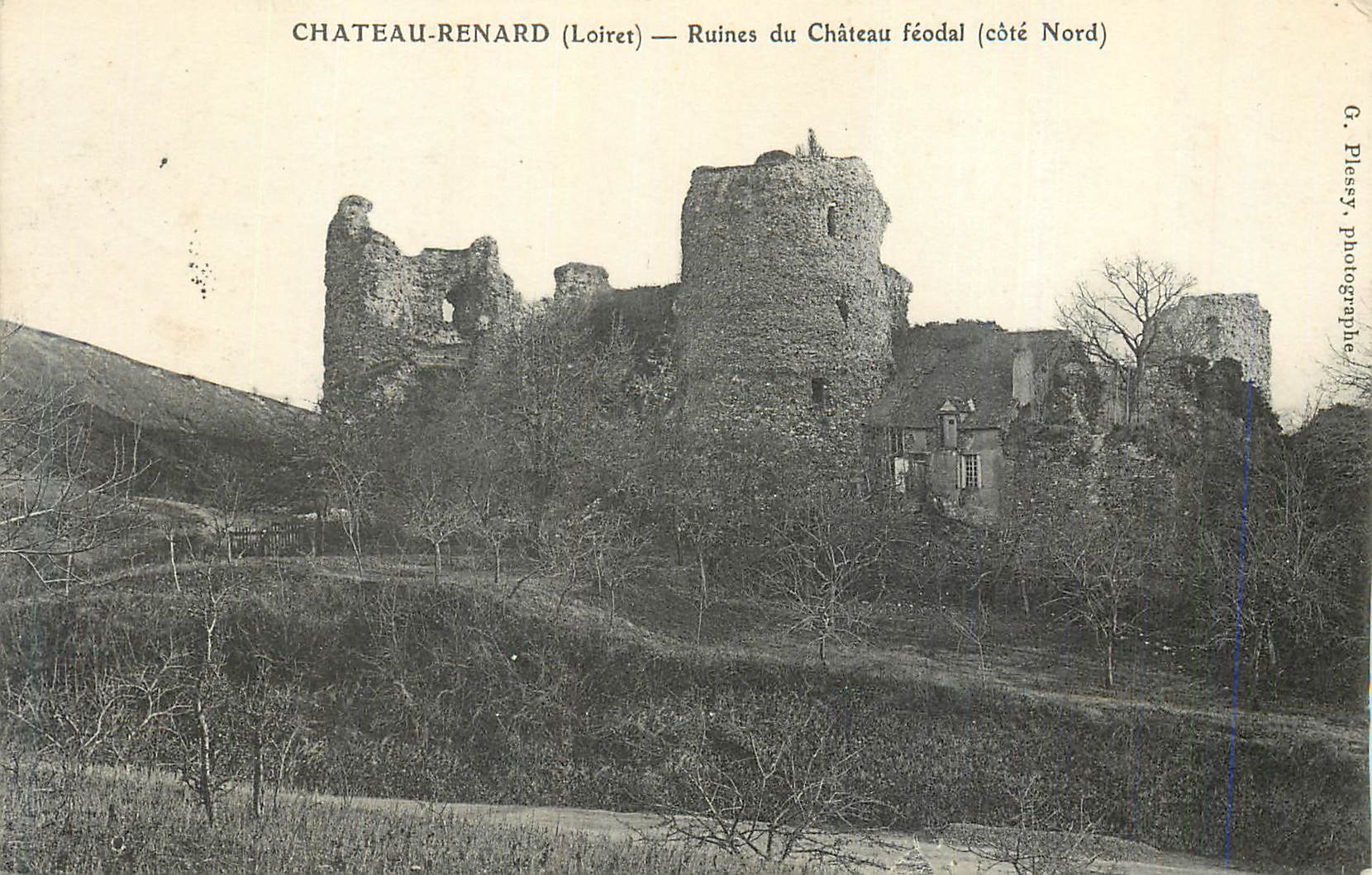 CPA Chateau Renard (Loiret) Ruines du Chateau Feodal (Cote Nord)